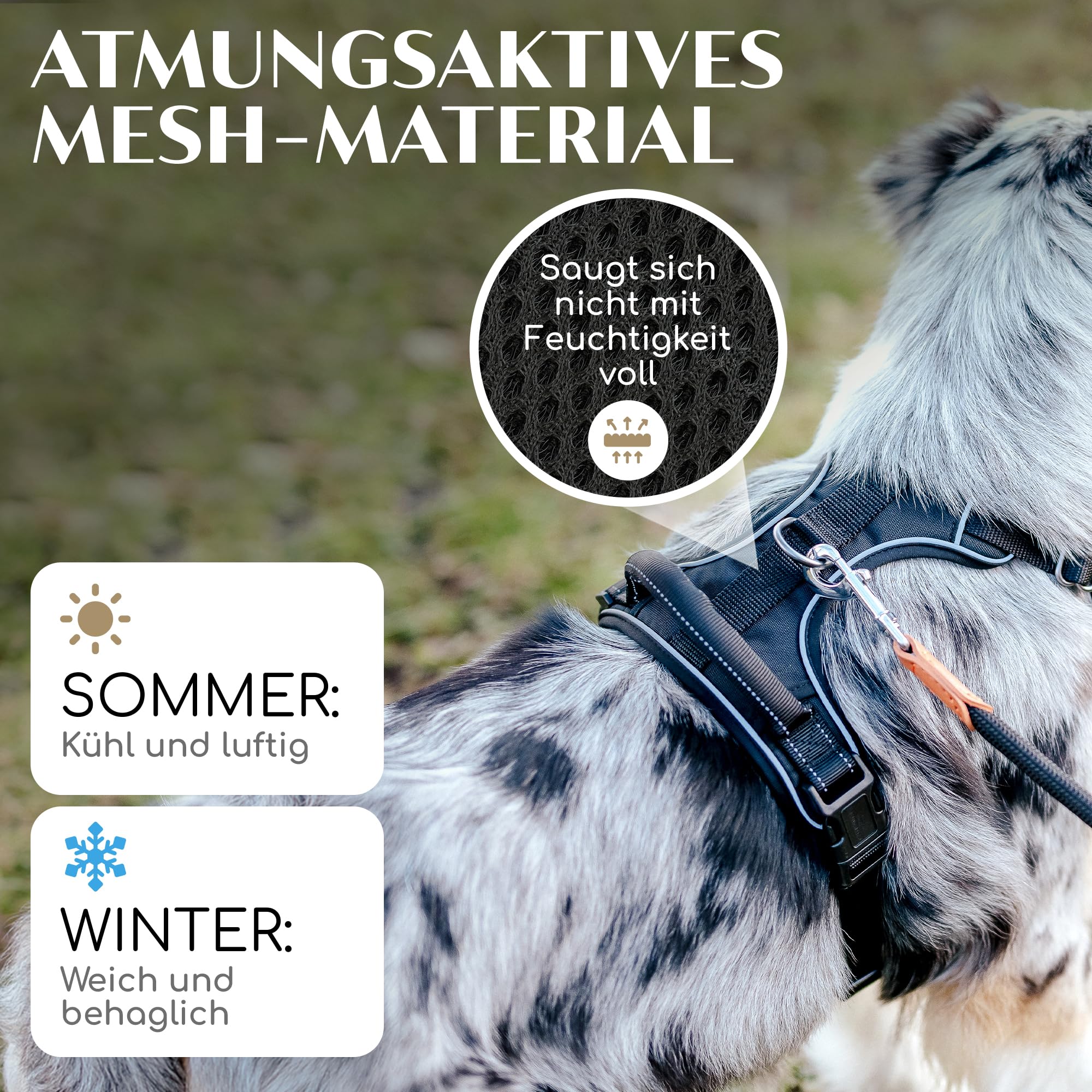 FREUDENTIER Hundegeschirr mit Griff, atmungsaktiv gepolstert - Bombenfester Sitz & maximale Sicherheit - Anti Zug Hundegeschirr kleine, mittelgroße & Grosse Hunde - Hunde Geschirr (Black, L)