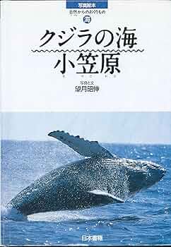 「美品」　小笠原諸島父島　和紙っ魚のクジラのタペストリー 美品」 小笠原諸島父島 和紙っ魚のクジラのタペストリー わしっ
