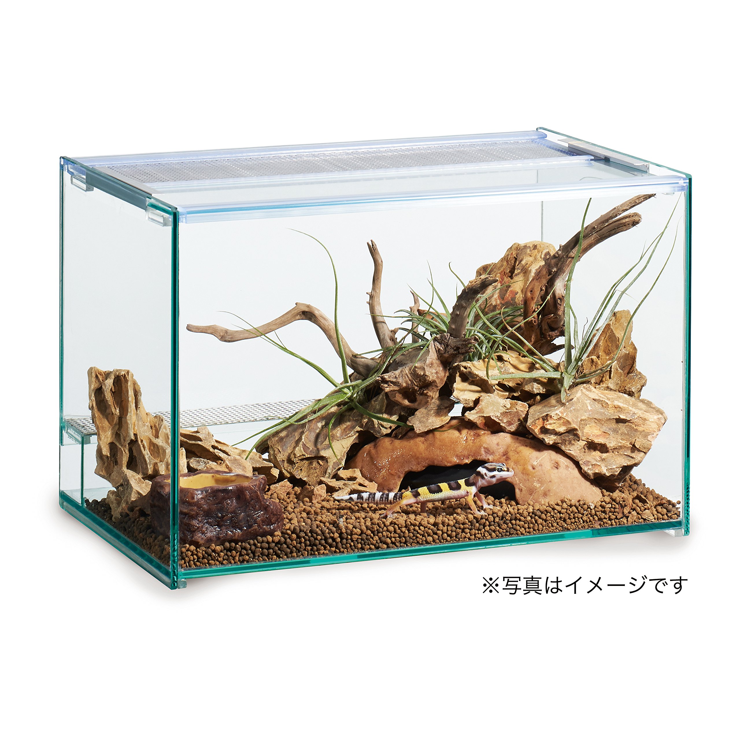 GEX エキゾテラシリーズ グラステラリウム 底床材、水入れ、シェルター