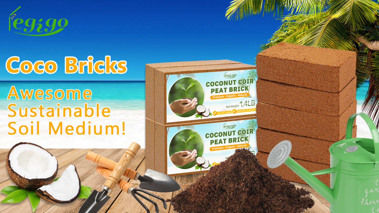 Amazon.com : Legigo Pack of 10 Organic Coco Coir Bricks- 100