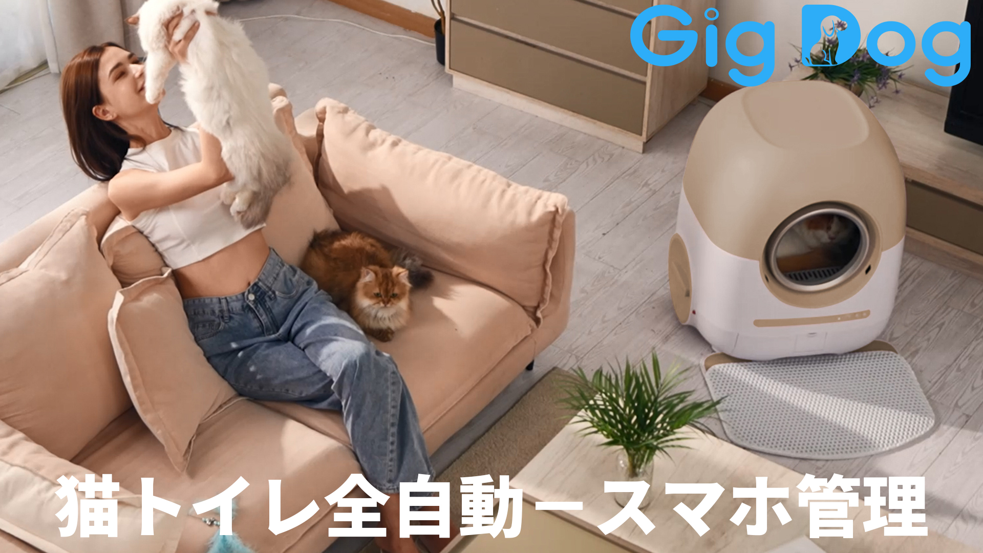 Amazon | 猫トイレ 自動 猫 トイレ 自動掃除 徹底消臭 80L 大型 猫