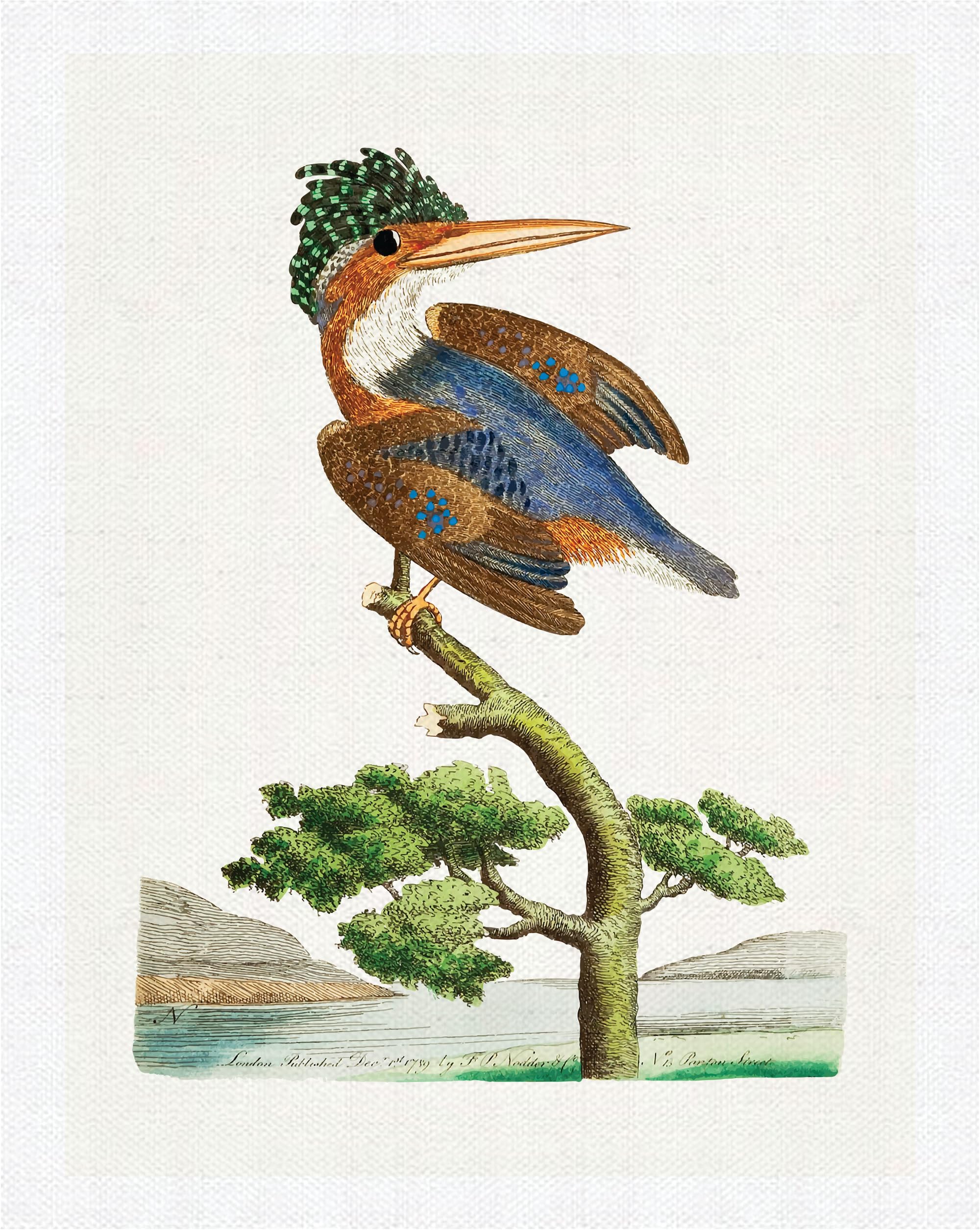 SIGNEX PRINT MEDIA Sea Birds Wall Art Canvas Painting – Coastal-Themed Unframed Artwork for Living Room, Bedroom, Office & Home Decor | Modern Ocean-Inspired Wall Decoration | (24 x 36 Inch)-image-6