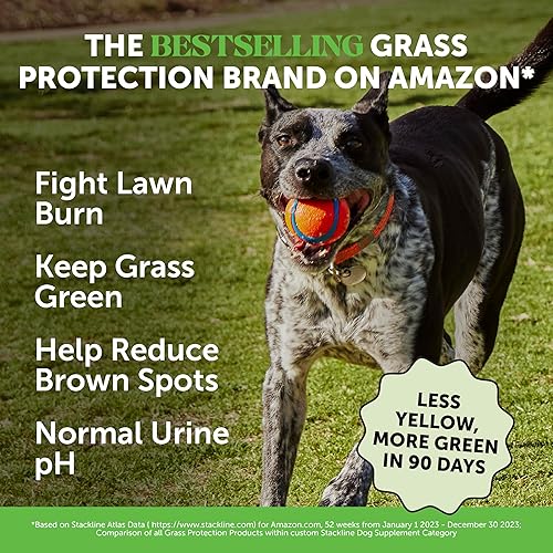 Miniatura 2 de Grass Green Dog Chews - Neutralizador de orina para césped, hierba para orina de perro ayuda a mantener el patio verde a abordar las manchas de