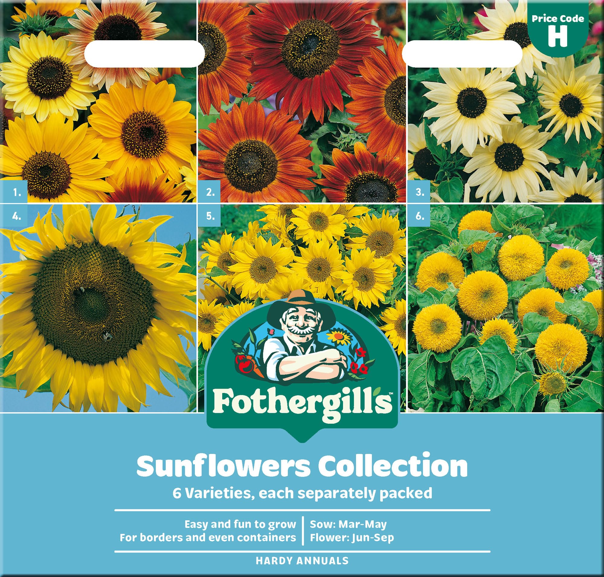 Fothergill's Sunflower Seeds Collection - 6 Varieties