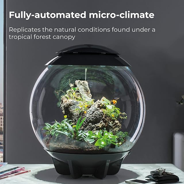 Foto 5 de 7 de biOrb 46147 AIR 60 blanco, terrario automático para el cuidado cómodo de las plantas, acrílico