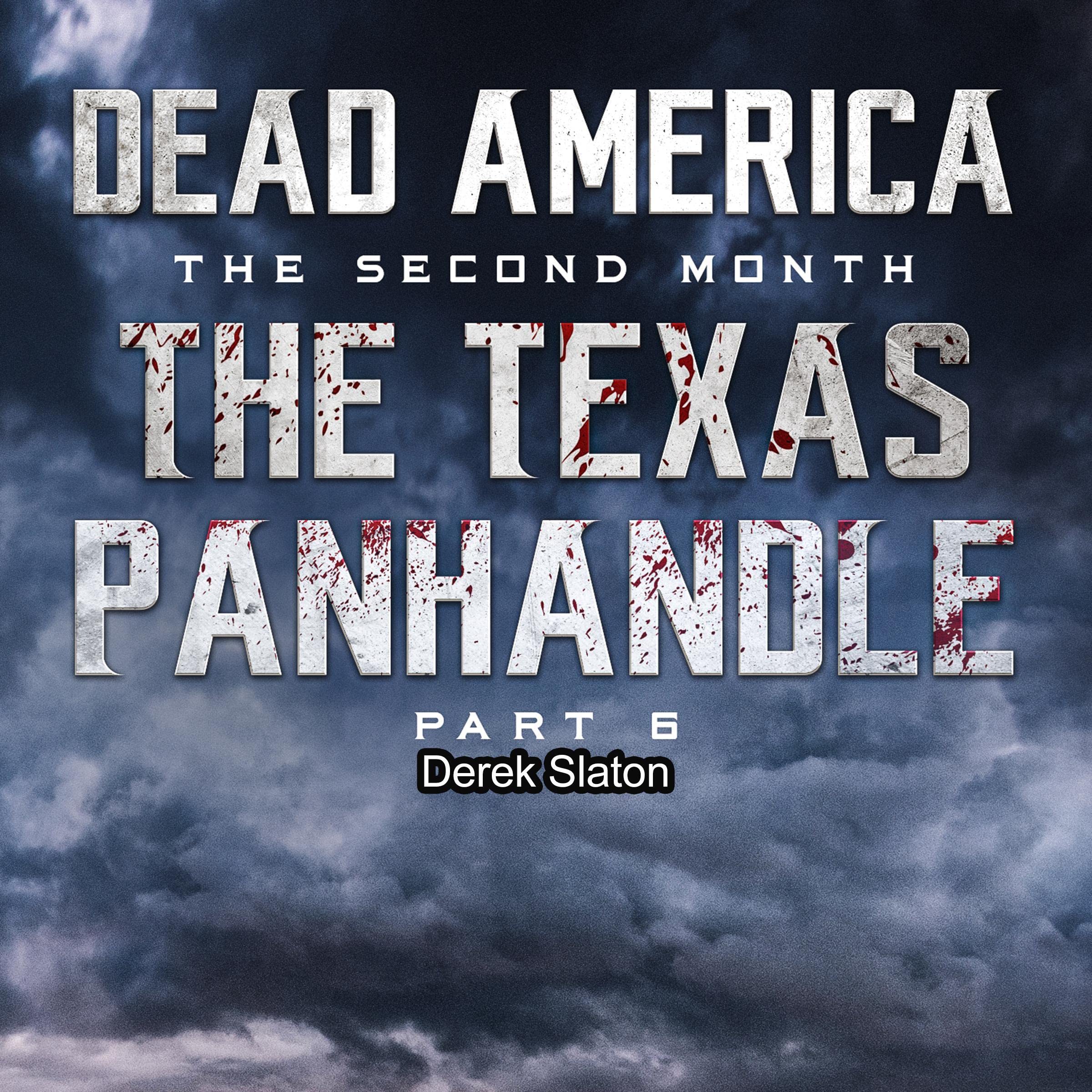 Cover art for Dead America, The Texas Panhandle, Pt. 6
