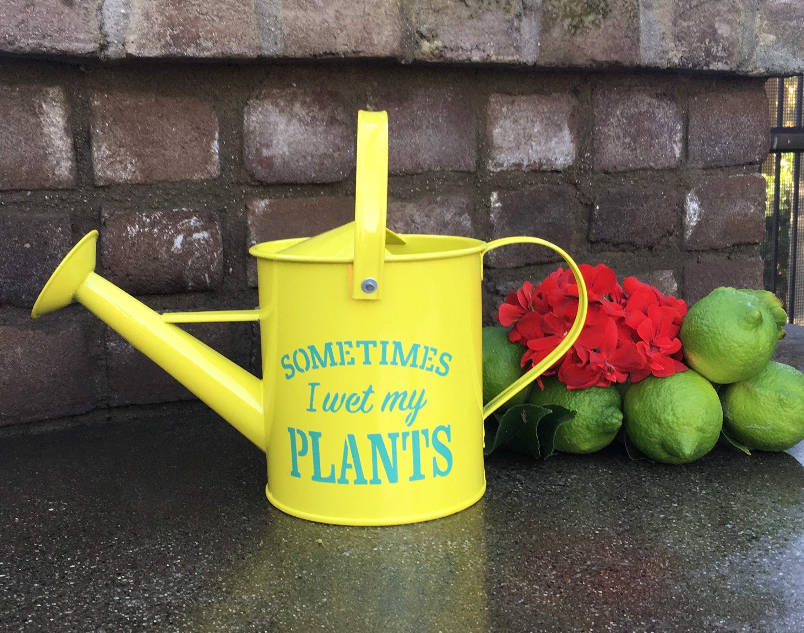 Laila & Lainey Gießkanne für den Innenbereich, klein, für Einweihung, Gartenarbeit, Geschenk für Frauen, Dekor: Wet My Plants Zitat – 1,6 l – ideal für Ihren besten Freund – gelb verzinktes Metall