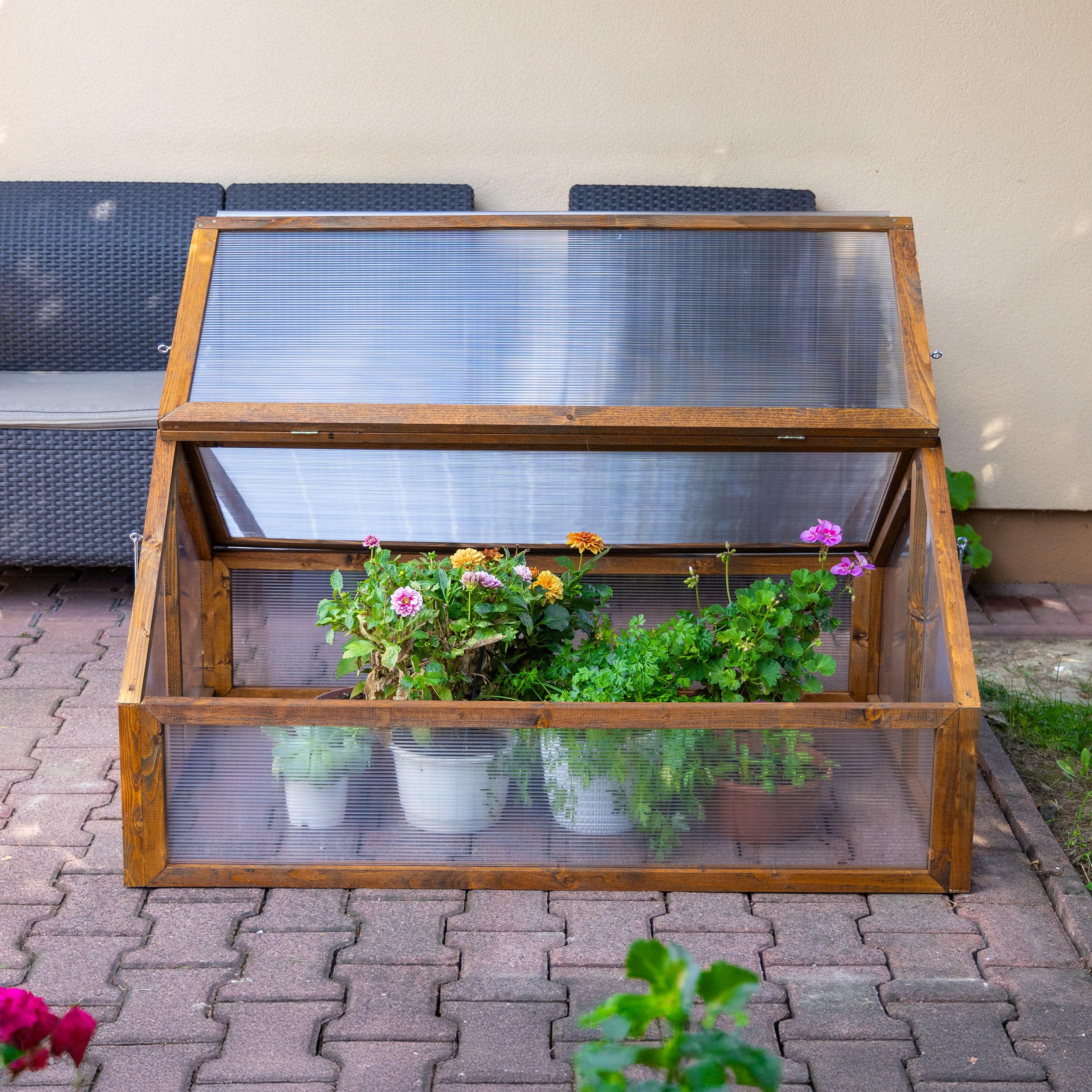 Greenspot - Mini Szklarnia, Inspekt - 120 x 80 x 60 cm, z Drewna i Tworzywa - do Ustawienia na Ziemi lub jako Osłona na Grządkę Podwyższoną - na Zioła, Warzywa, Kwiaty - Timber Palisander