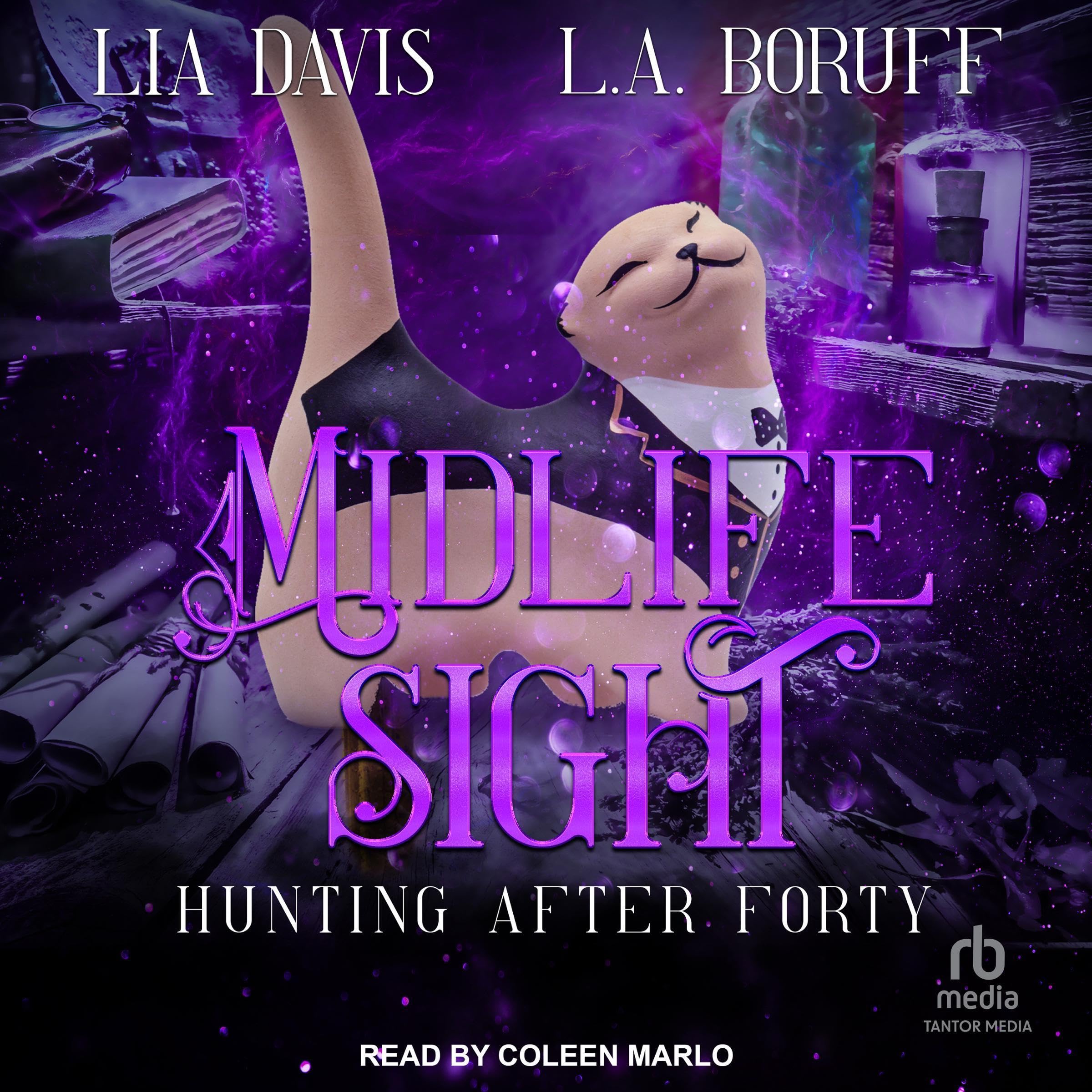Cover art for Midlife Sight