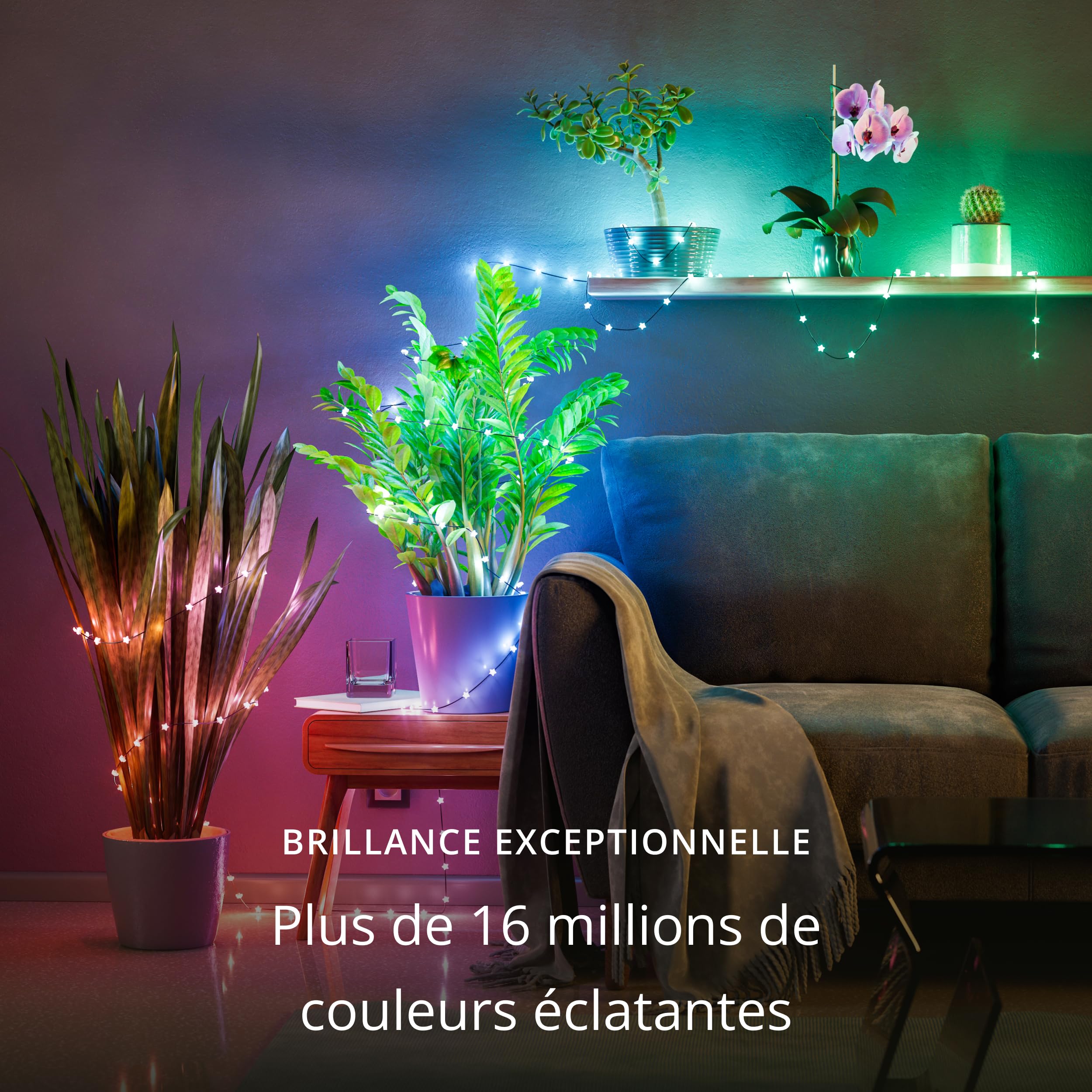 Twinkly Strings USB-C Star 100 LED, Guirlande LEDs en Forme d'Étoile, Fil Lumineux LED Multicolore RGB, Lumières Saint-Valentin, Compatible avec Alexa, Google Home, USB C, Fil Transparent, 6m
