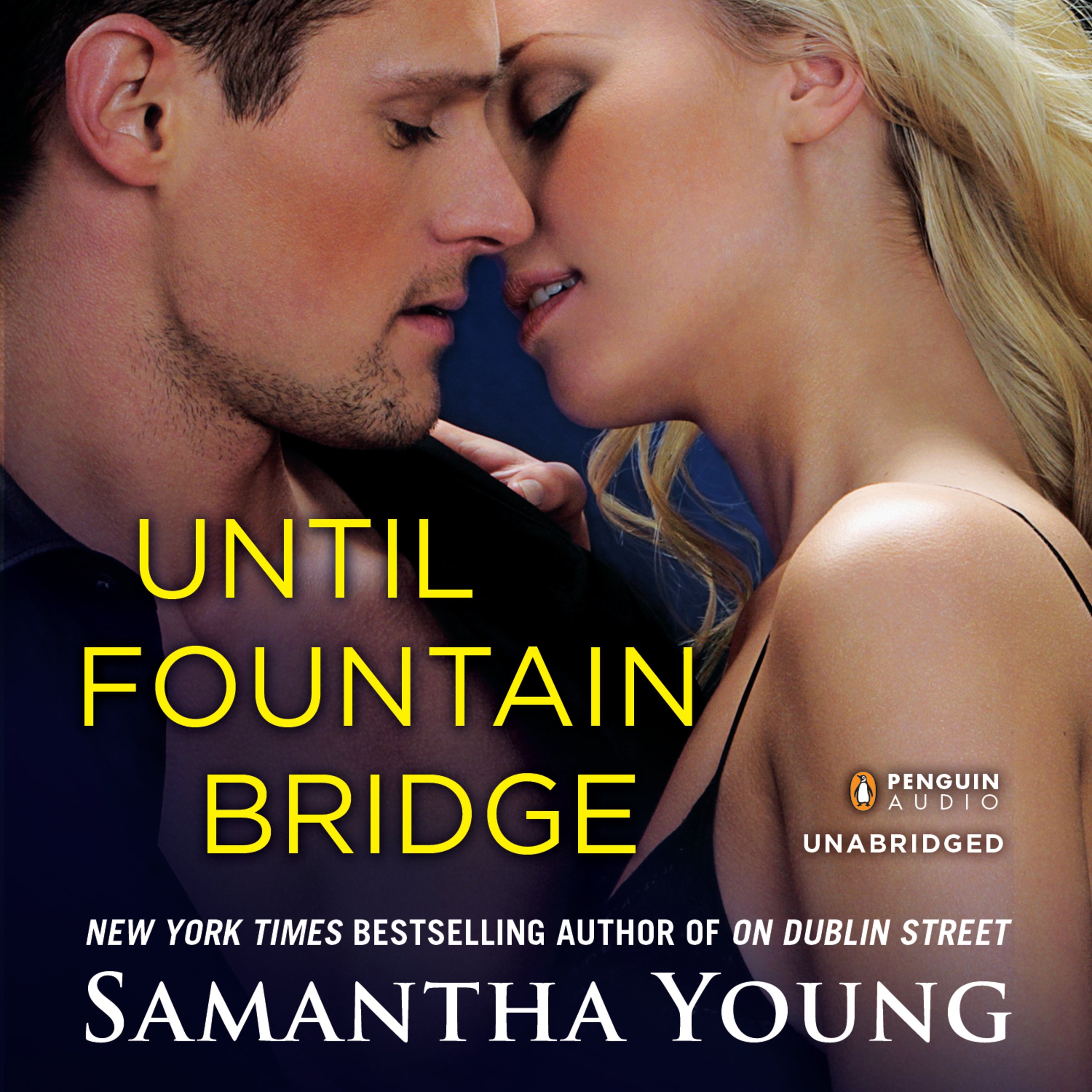 Cover art for Until Fountain Bridge