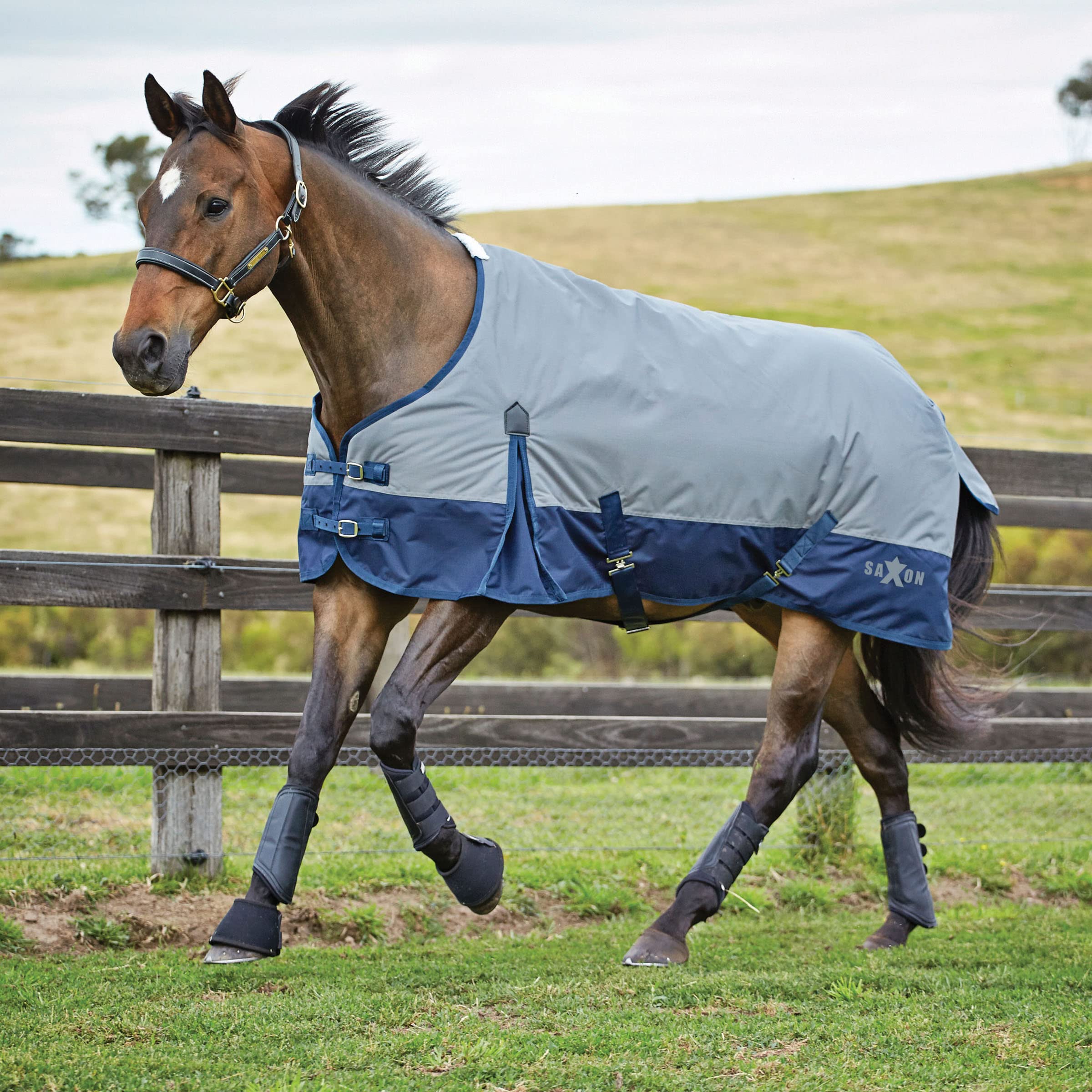 Saxon.600D with Gusset Standard Neck Lite II Horse Rug, Grey/Navy, 72"