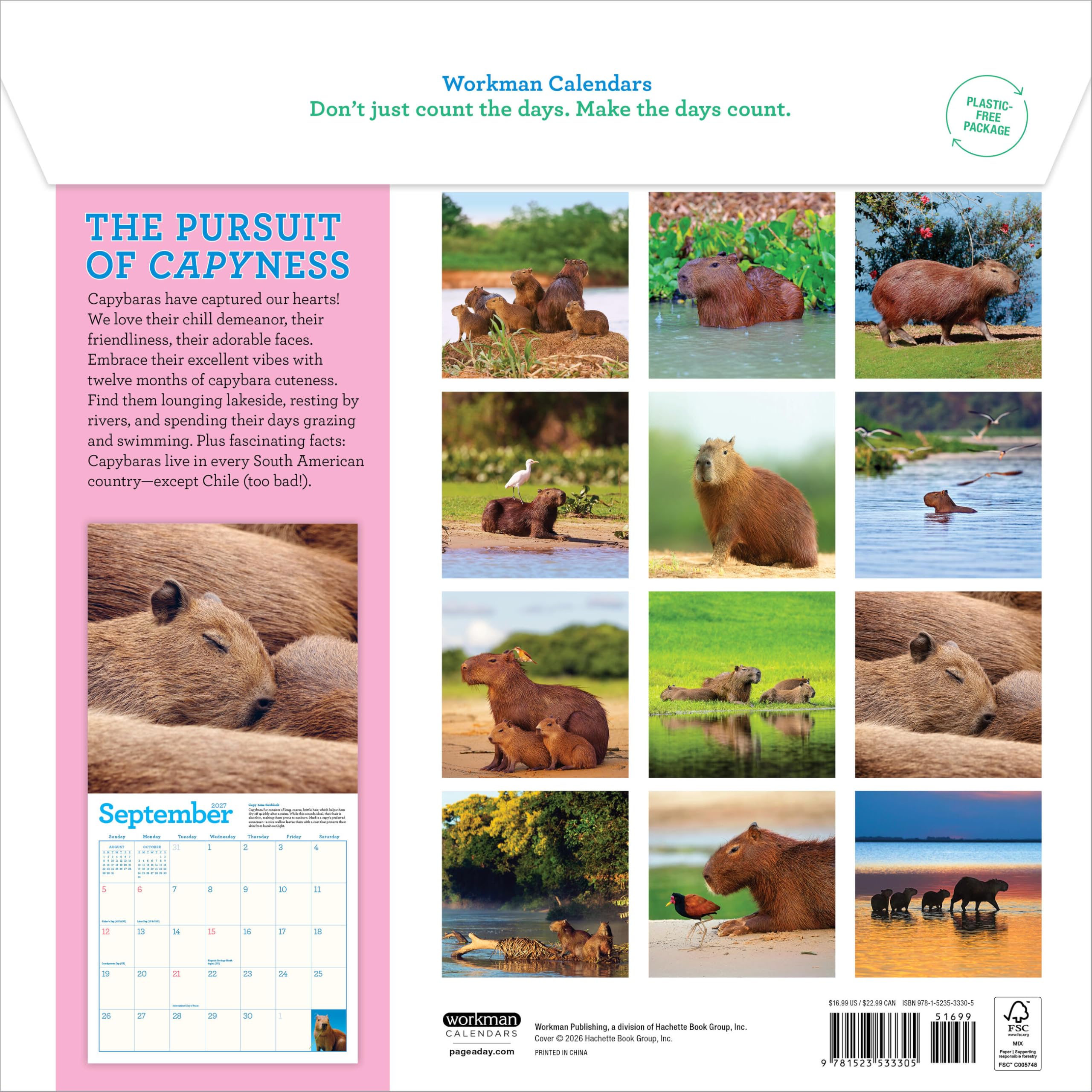 Capybara Wall Calendar 2027: A Happy, Capy Year