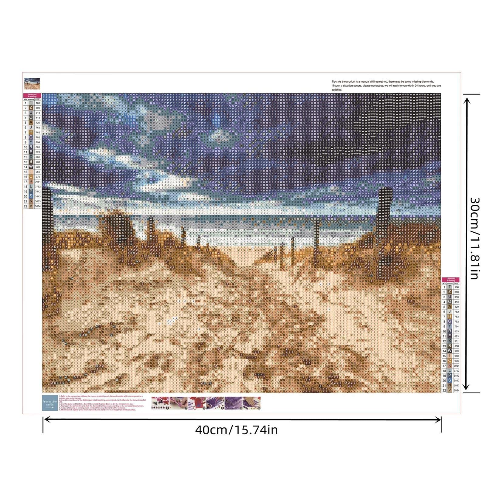 YSCOLOR Full Round Drill Scenery 5D DIY Diamond Embroidery Make Your Own Seaside Beach Diamond Painting Cross Stitch Rhinestone Mosaic 11.8X15.8 in/30X40cm
