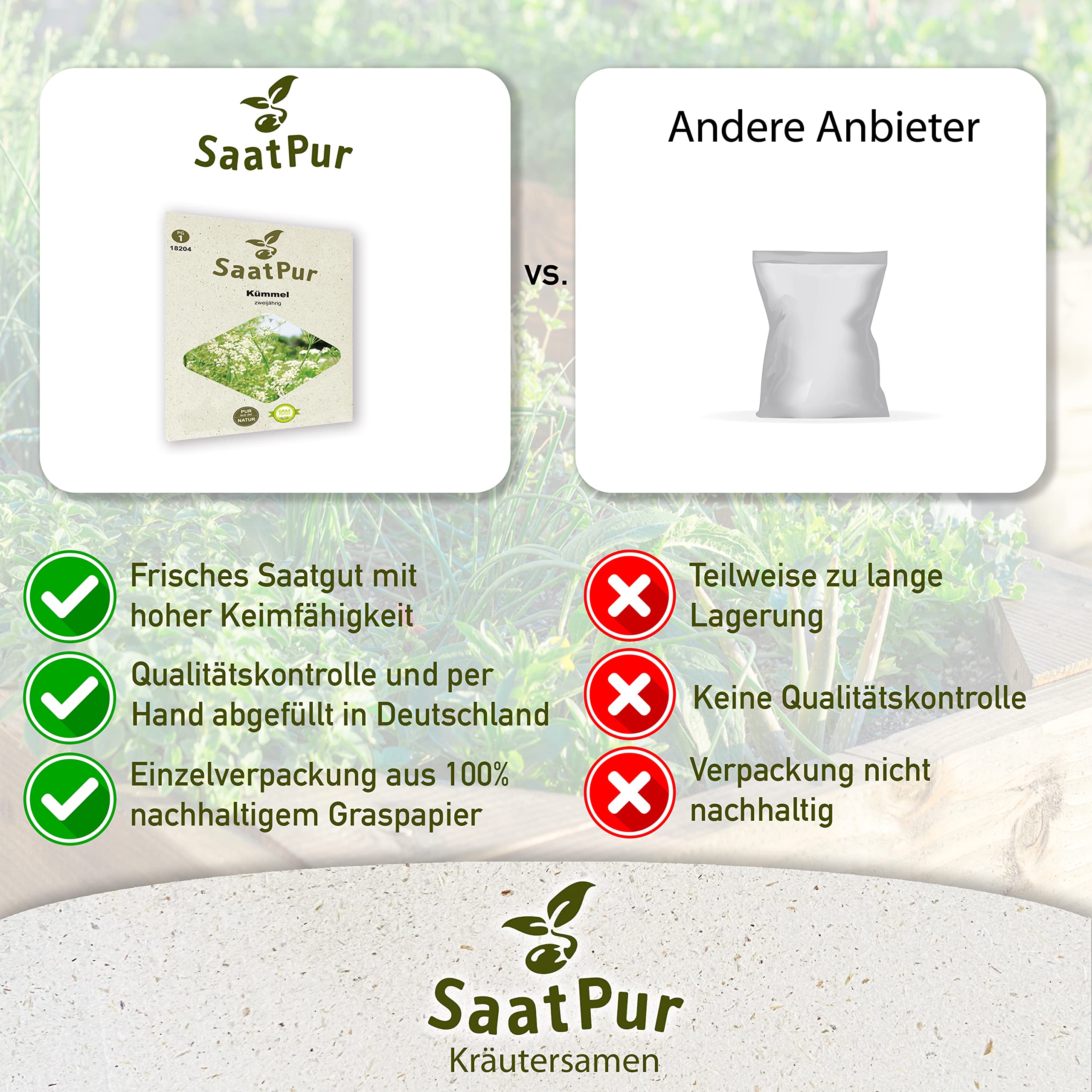 SaatPur Kümmel Samen, Saatgut - Kleines Tray mit 25 Portionstüten für je ca. 100 Pflanzen