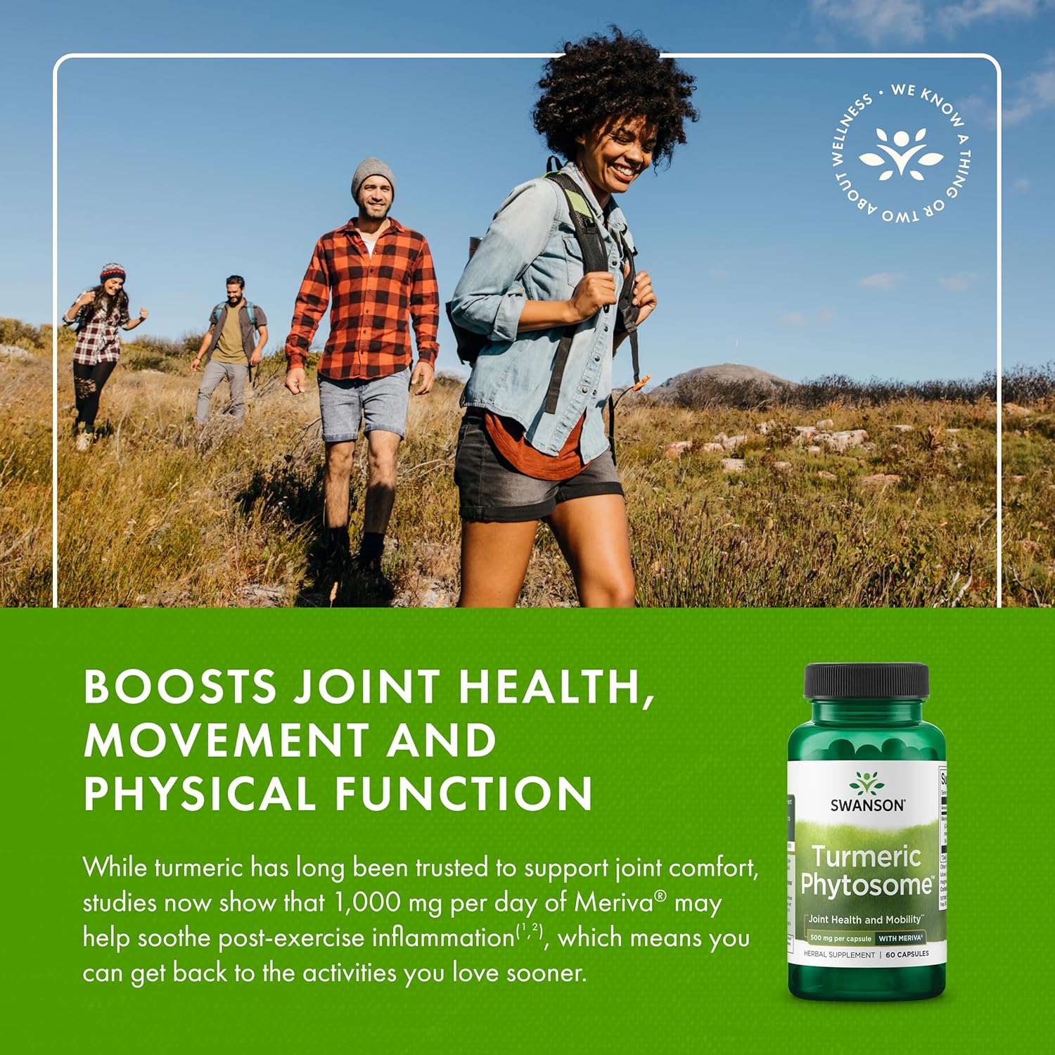 Swanson Turmeric Phytosome with Meriva 500 Milligrams 60 Capsules - Image 6