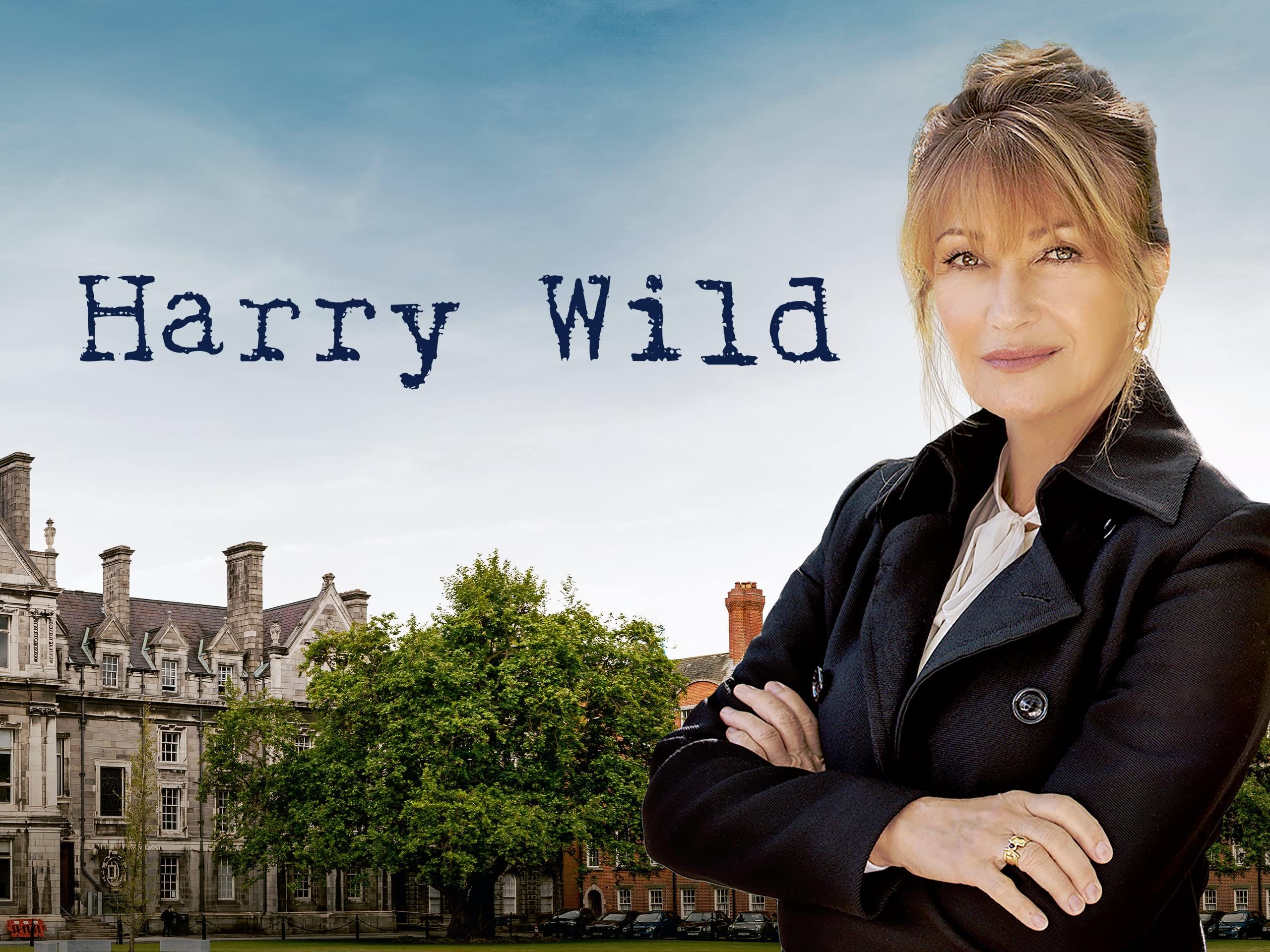 Harry Wild Season 1