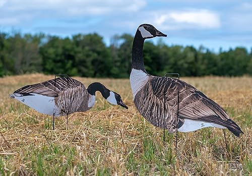 Miniatura 3 de Señuelos de silueta de la serie 1 Doz Vivid