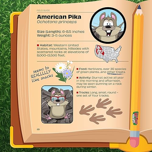 Miniatura 5 de Caramelos Pop Rocks de goma de mascar  Incluye 4 paquetes individuales de caramelos tradicionales con sabor a goma de mascar que se convierten en