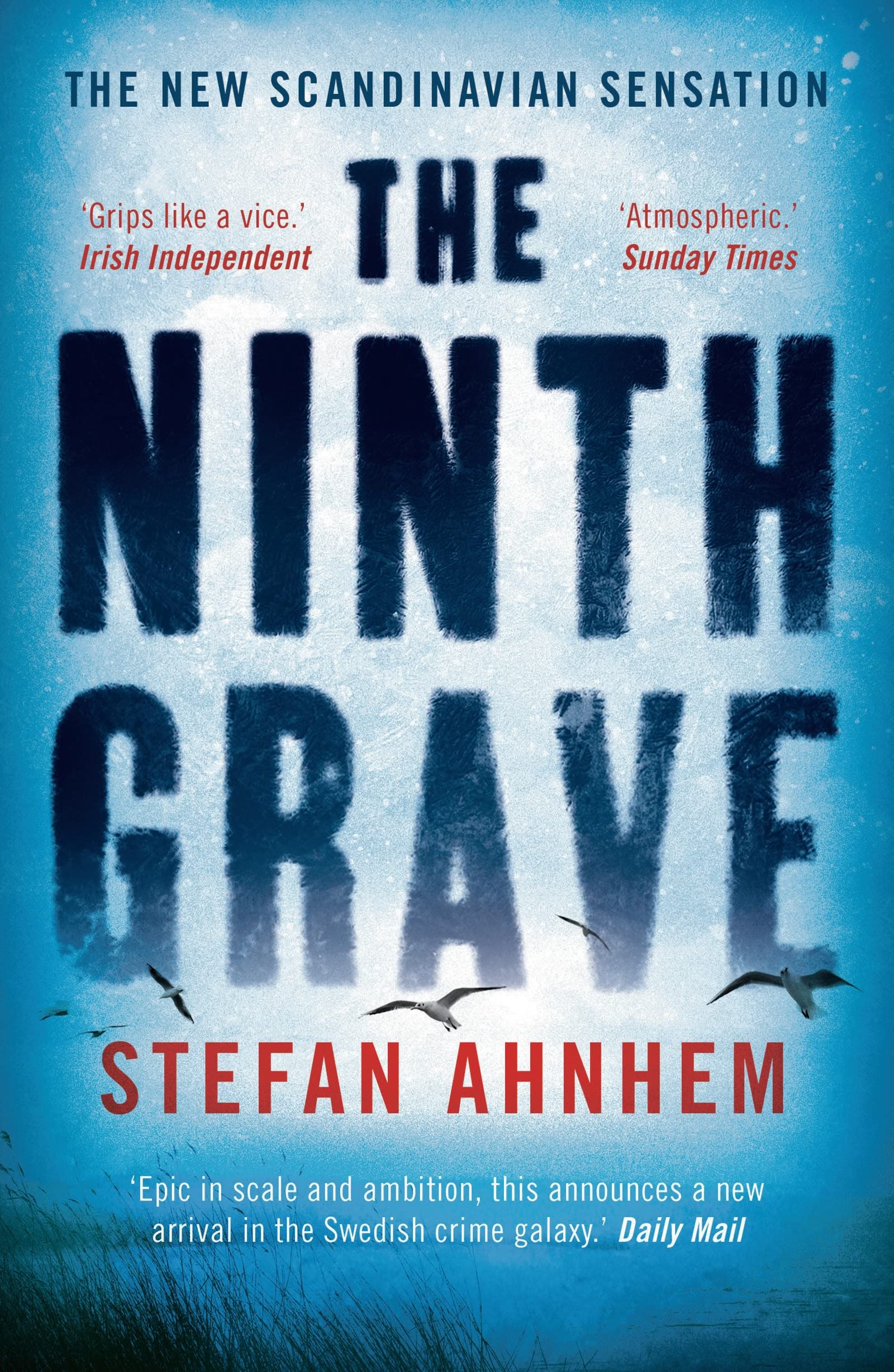 Ninth Grave by Stefan Ahnhem (Paperback Book)
