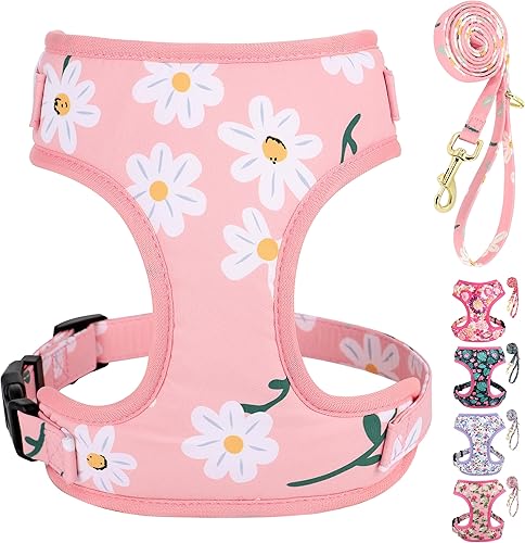 Beirui Lindo juego de arnés y correa para perro con patrón floral, arnés de chaleco ajustable de malla suave con correa de 5 pies para cachorros