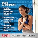 SPRI Kit de bande de résistance - Tubes interchangeables de formation de résistance pour le tonage complet du corps - Comprend 5 Bandes d'exercice, Poignées rembourrées, Ancrage de porte, Guide d'entraînement, Sac de transport