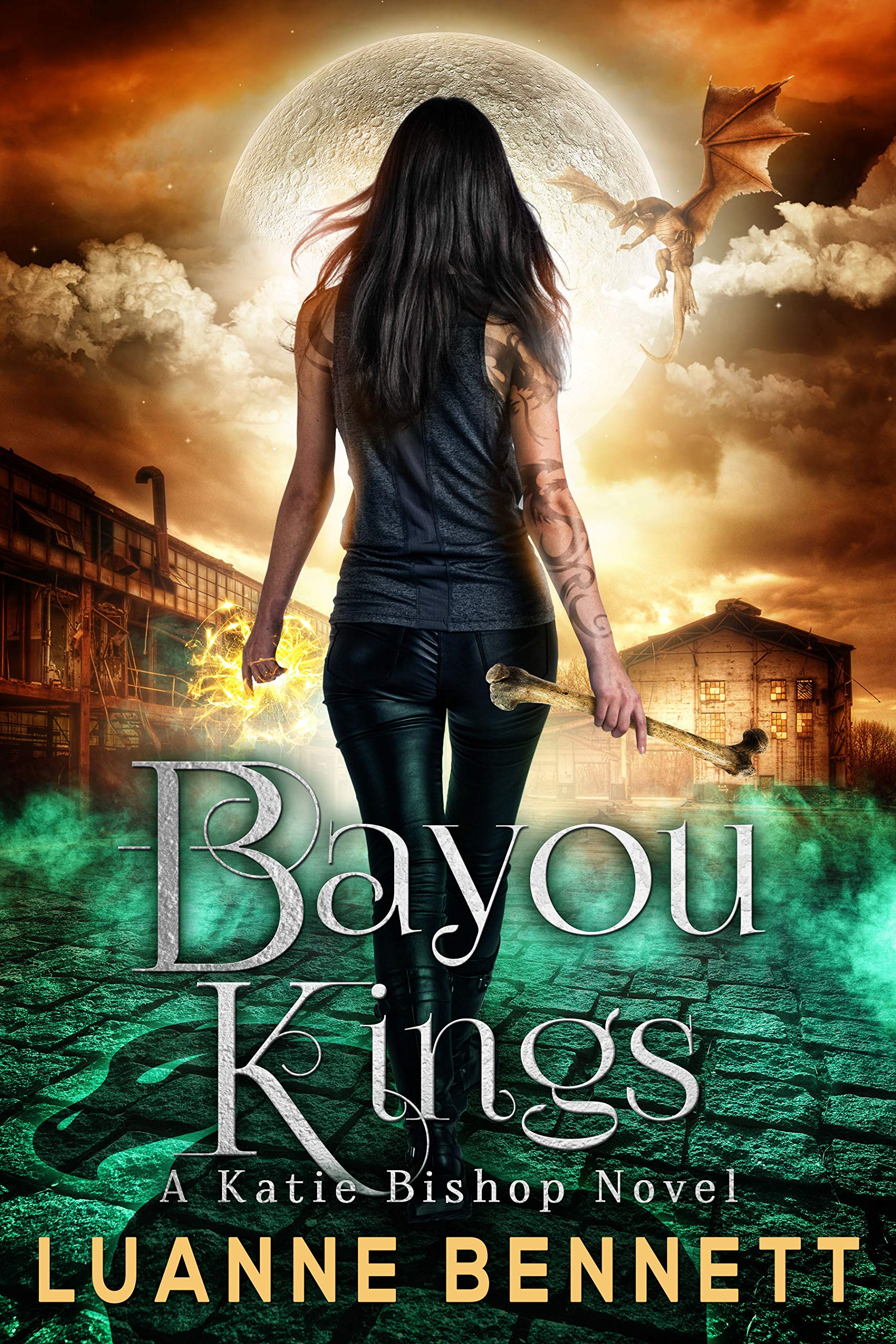 Book cover for Bayou Kings