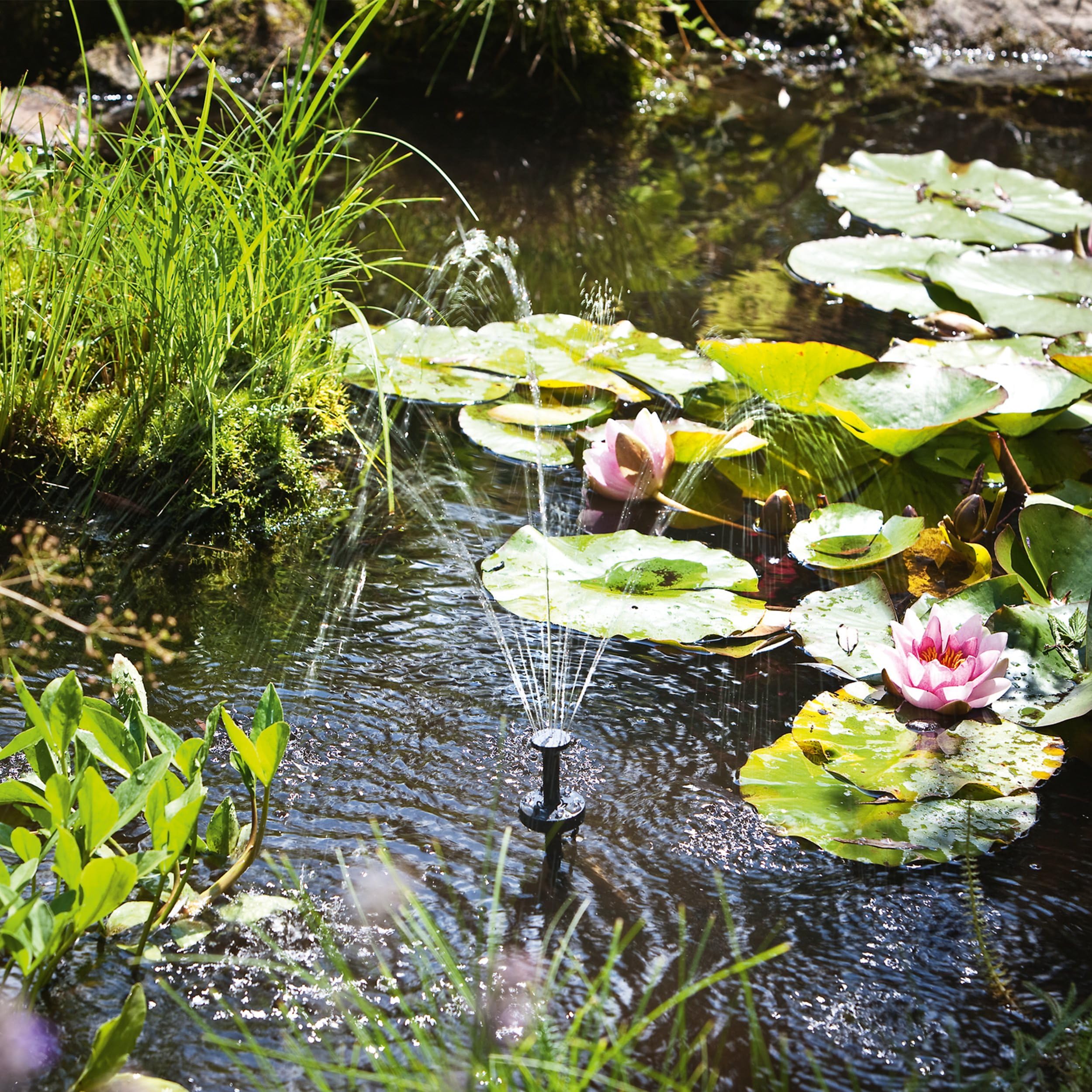 Esotec - Conjunto de Bomba Solar Moderno y Tecnológico con Iluminación LED, Acumulador de Batería, 4 Mangueras y 4 Boquillas, Talla 1