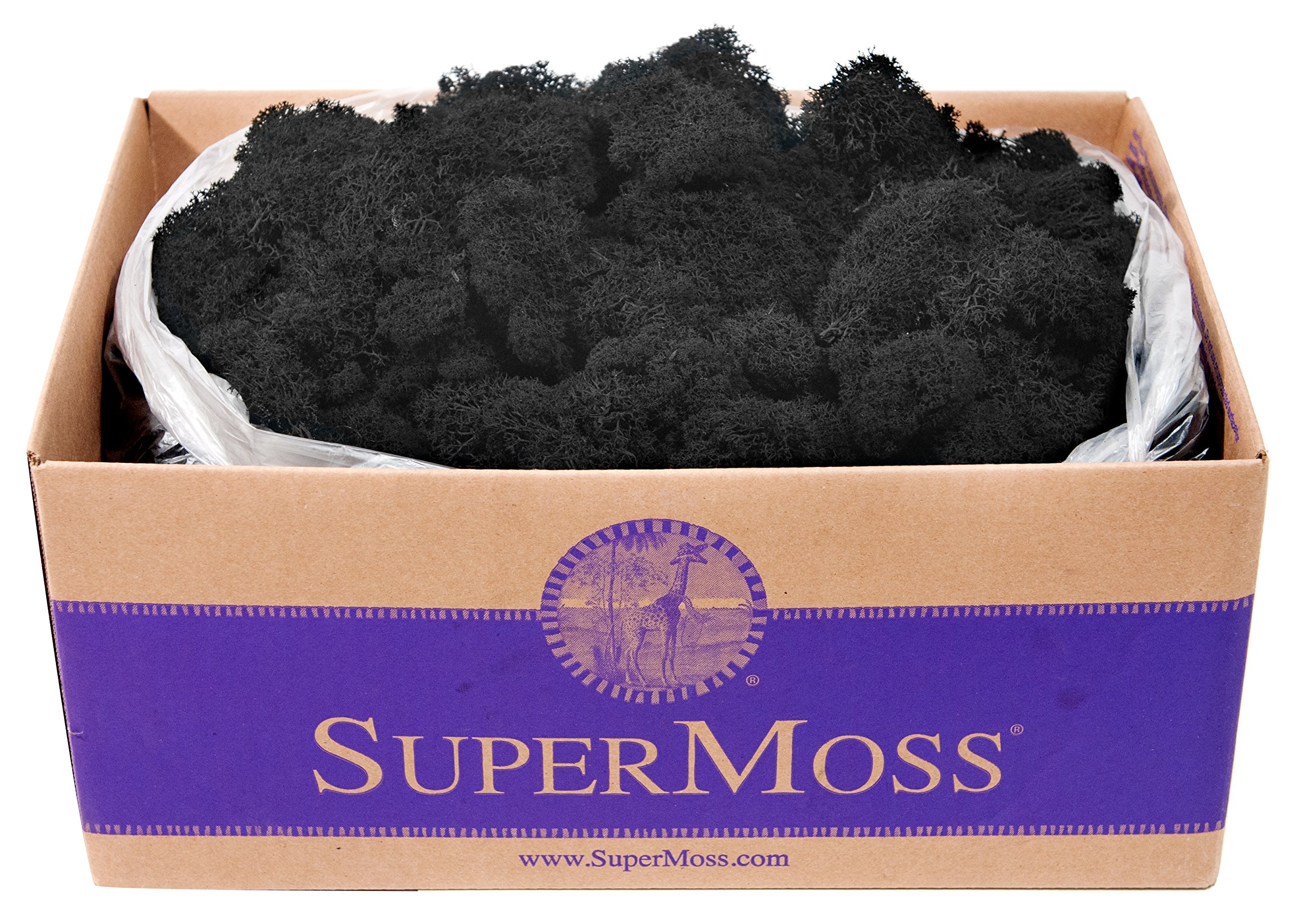 SuperMoss 21786 Reindeer Moss Preserved Black Appx. 3 lb Bulk Case product thumbnail 3