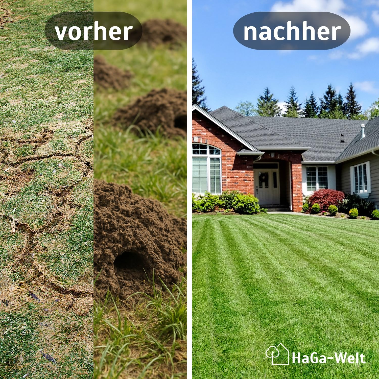 HaGa Wühlmausgitter aus Metall – 1m x 5m – Effektiver Schutz für Beete & Rasen | Umweltfreundliche Barriere gegen Wühlmaus | Robustes & Langlebiges Drahtgitter | auch als Hasendraht & Volierendraht