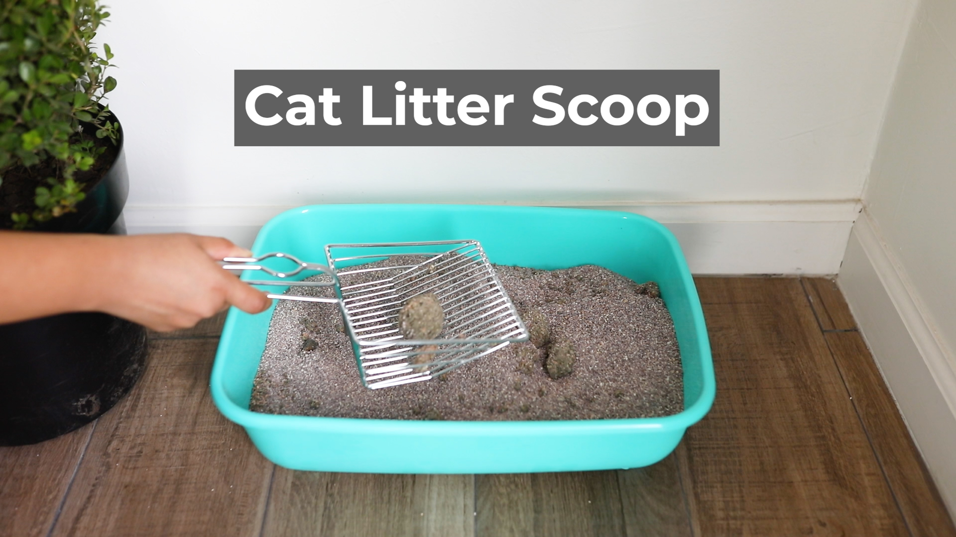 Amazon.com : Cat Litter Scoop - Extra Large Heavy Duty Metal Kitty