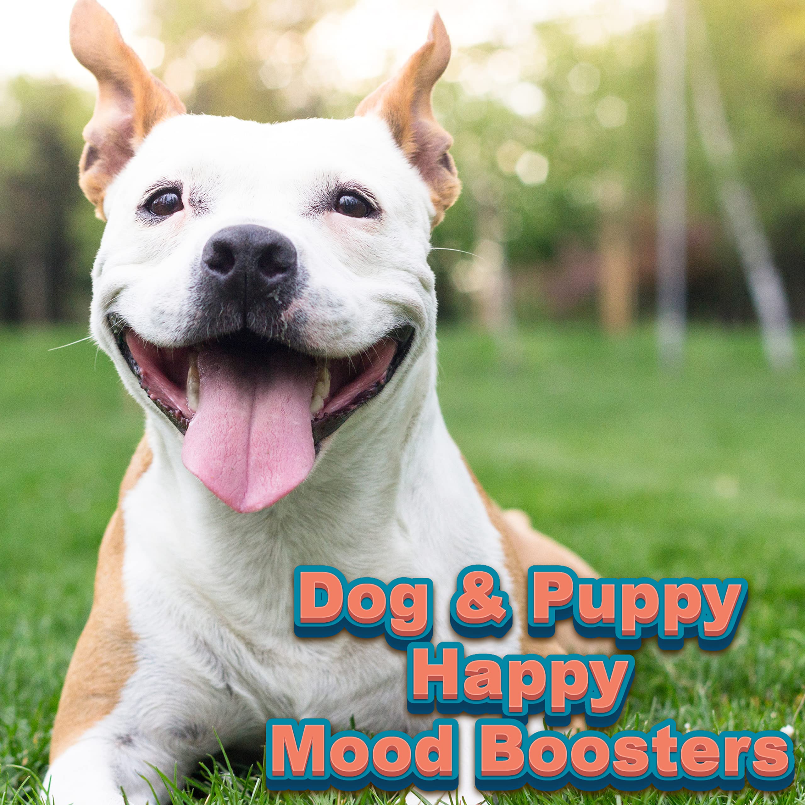 Sounds Dogs Love To Hear