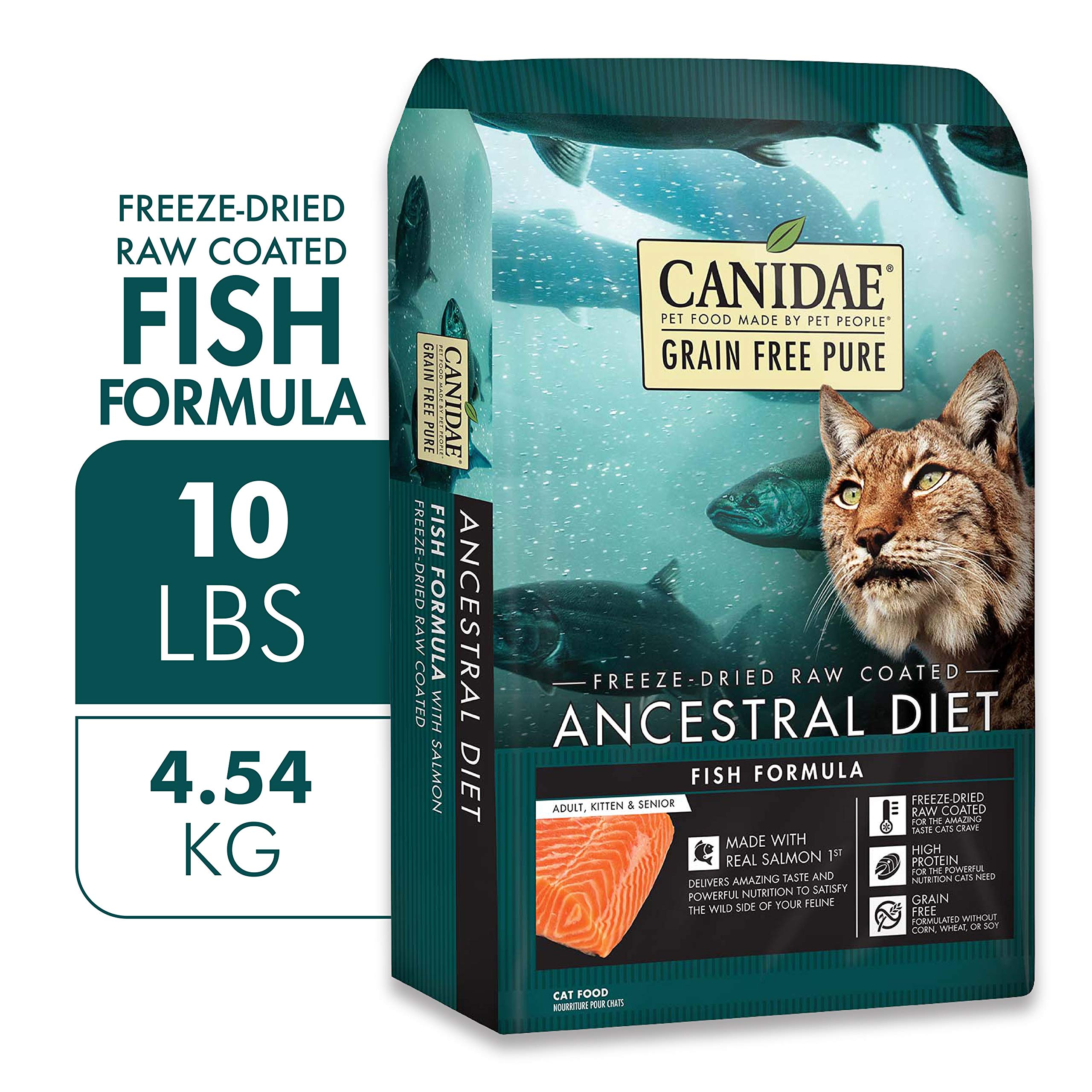 royal canin labrador retriever adult dog food