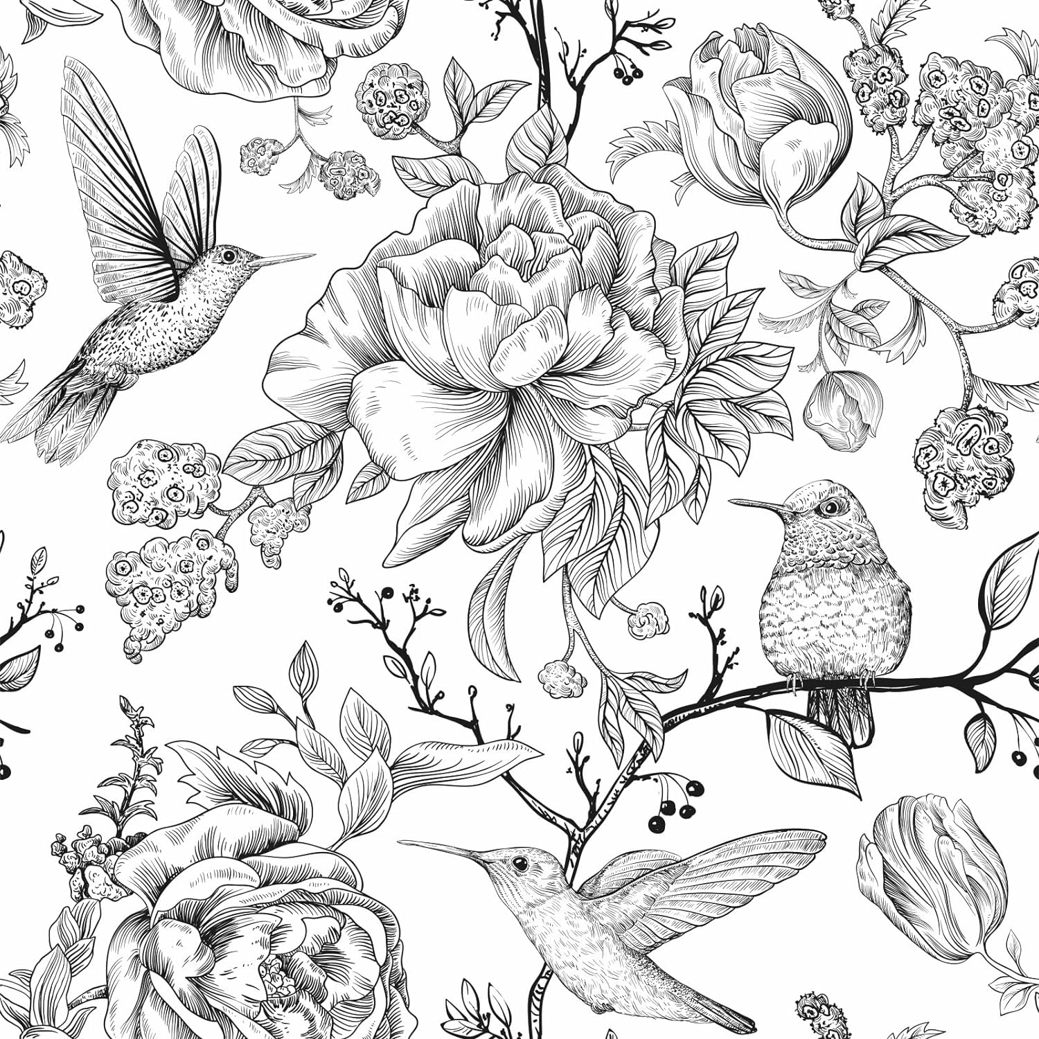 Vintage Black and White Floral Peel and Stick Wallpaper - Flowers, Hummingbirds, Butterflies - Removable 17.7"x118.1"