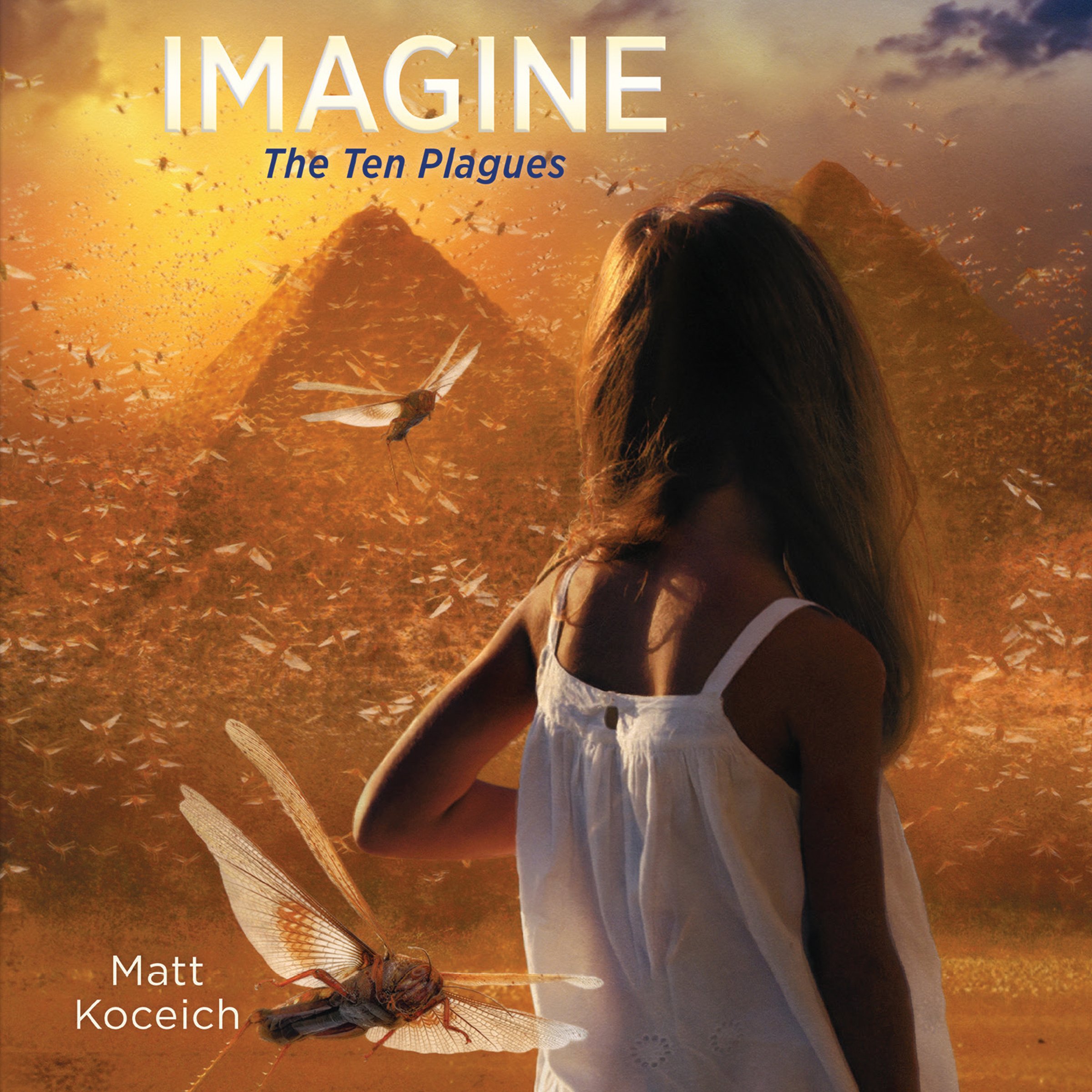 Cover art for Imagine...The Ten Plagues