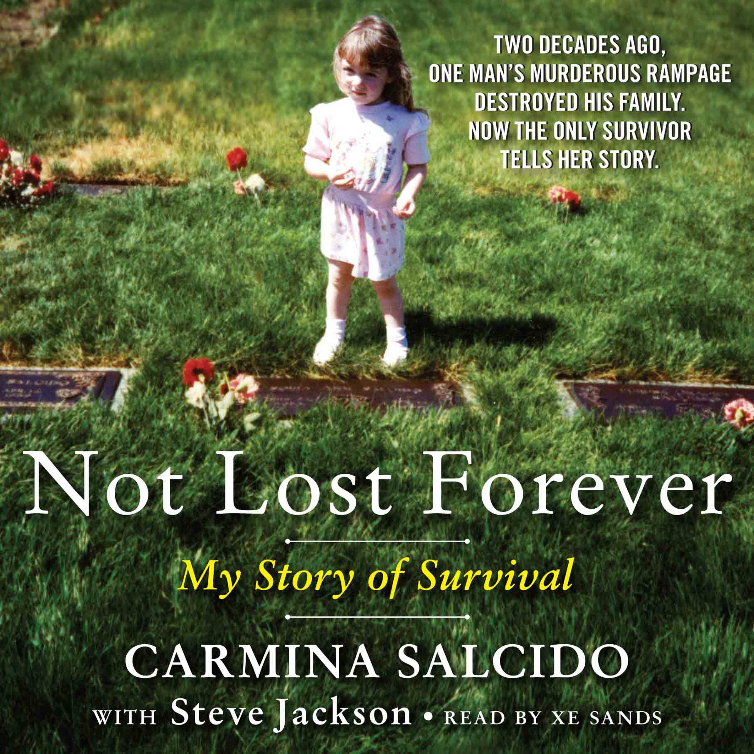 Cover art for Not Lost Forever: My Story of Survival