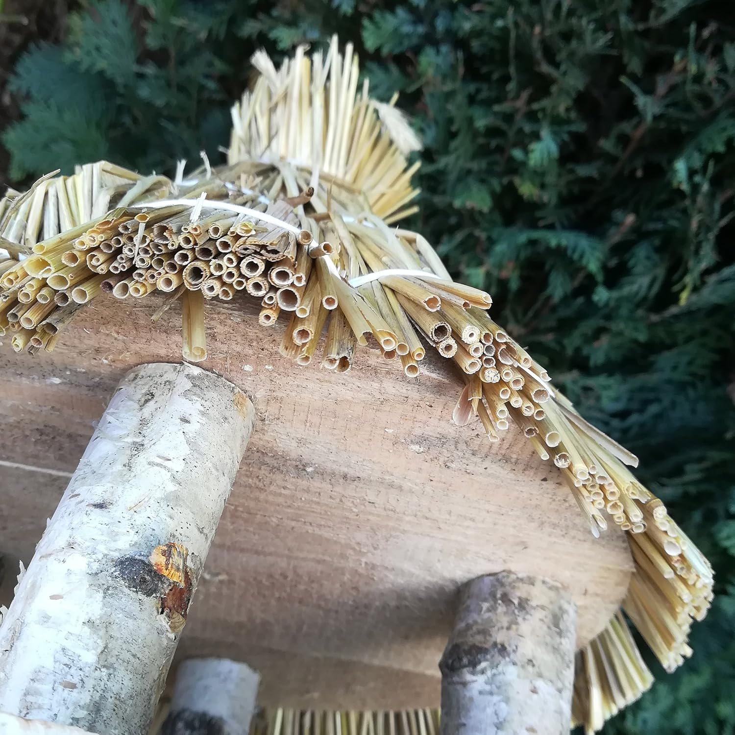 Fallen Fruits Round Birch Hanging Bird Table