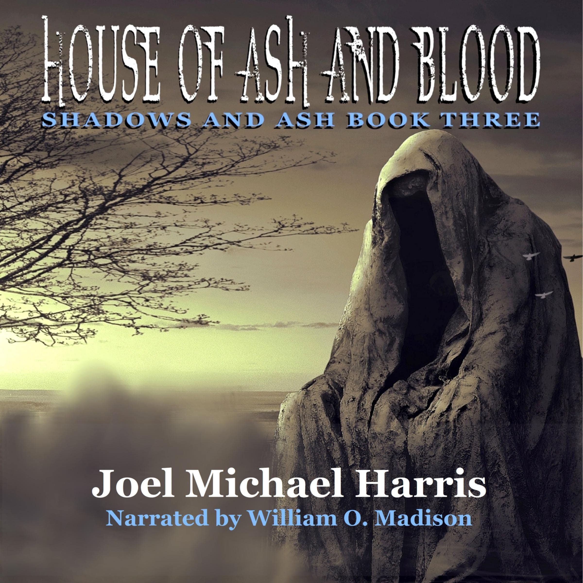 Cover art for House of Ash and Blood