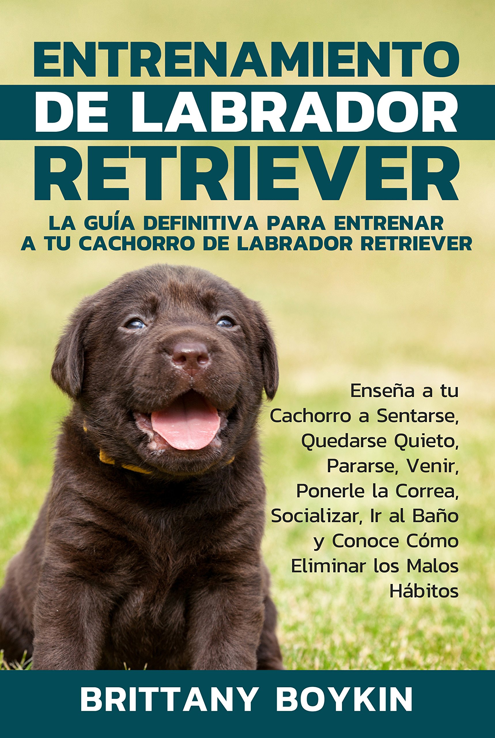 Entrenamiento de Labrador Retriever: La Guía Definitiva para Entrenar a tu Cachorro de Labrador Retriever (Spanish Version) (Version en Espanol) (Spanish Edition)