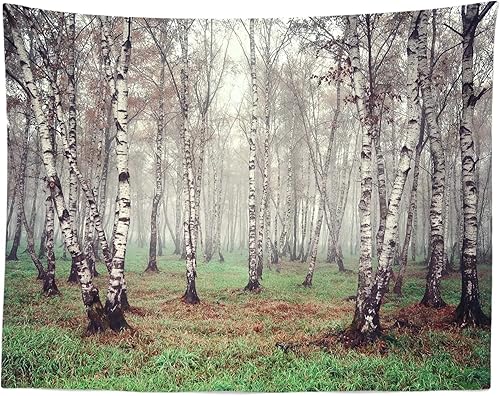 Miniatura 3 de CORFOTO Telón de fondo de tela de 7 x 5 pies, bosque natural, fotografía, árbol de abedul, jungla verde hierba, fondo de paisaje de verano para