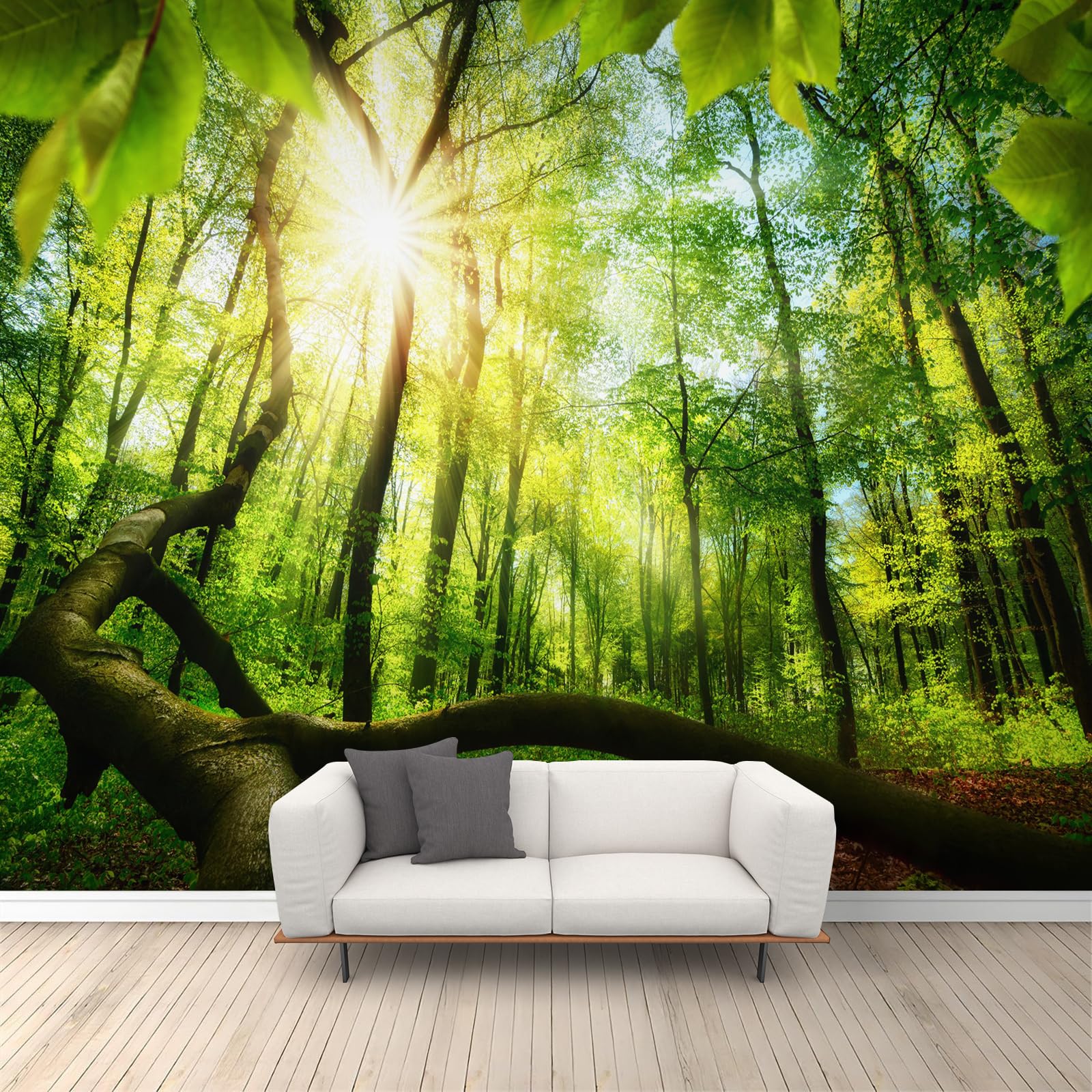 Papier peint de paysage naturel forêt brumeuse, décoration murale verte grand format