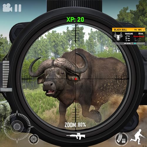 Hunting Games 2025 : Birds Shooting Game - FPS Sniper Shooting Wild Animal Survival Shooter New Games 2025