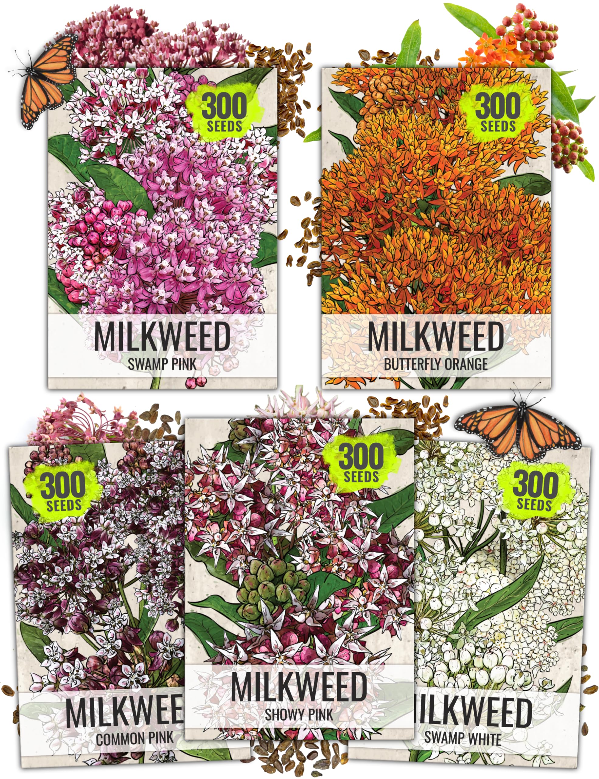 Seed Needs Milkweed Seeds Collection 5 Pack