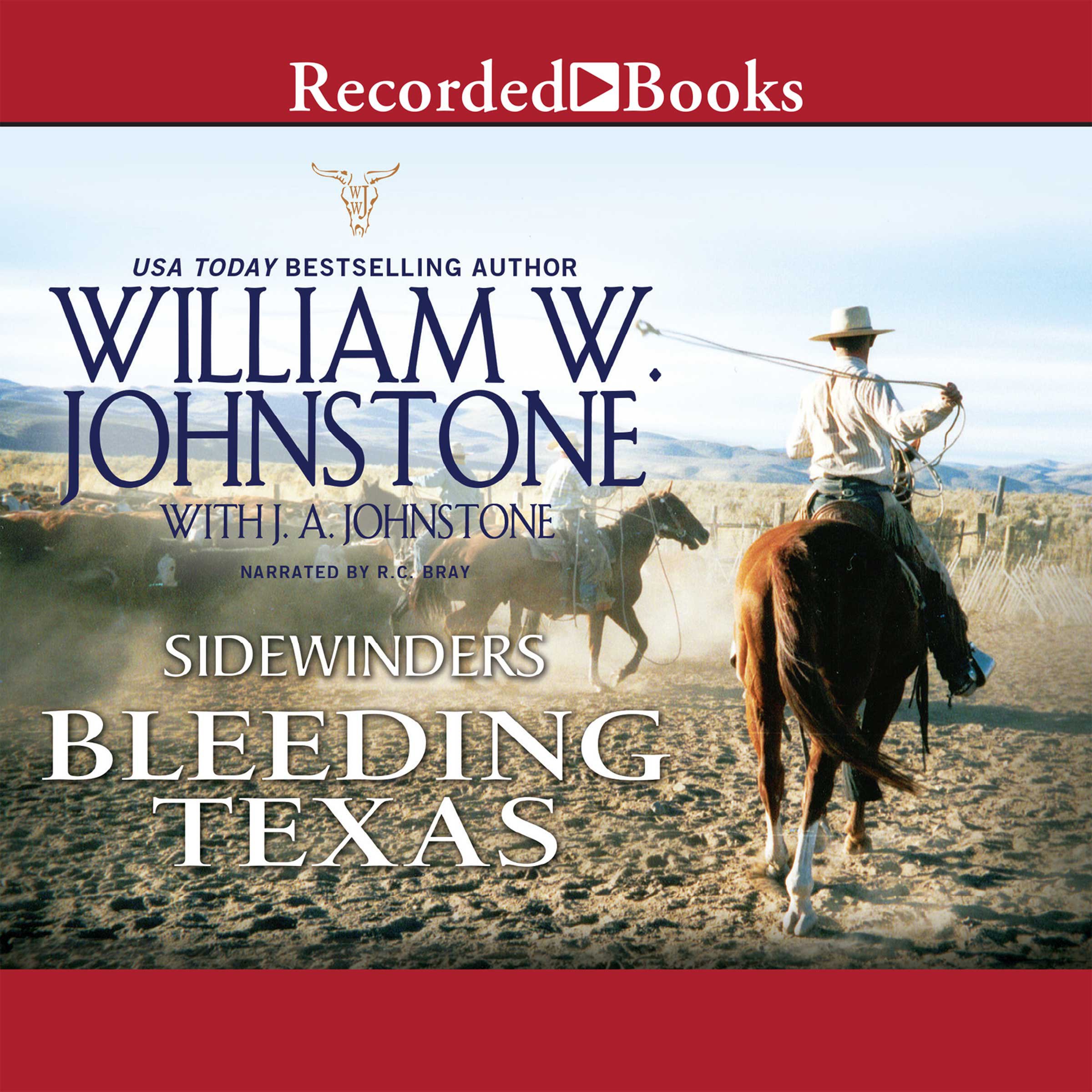 Cover art for Sidewinders