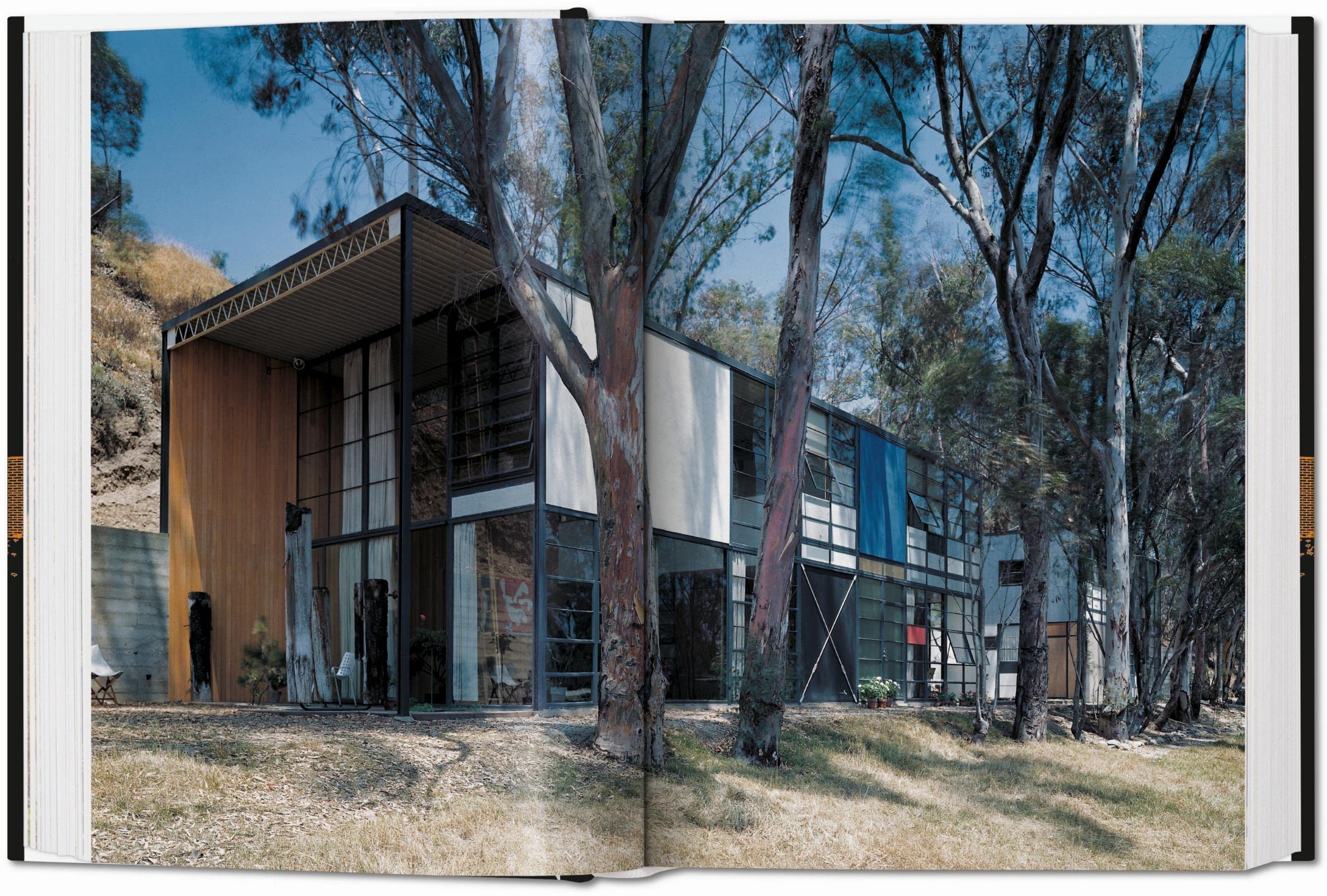 Case Study Houses. The Complete Csh Program 1945-1966. 40Th Ed (45th Edition)