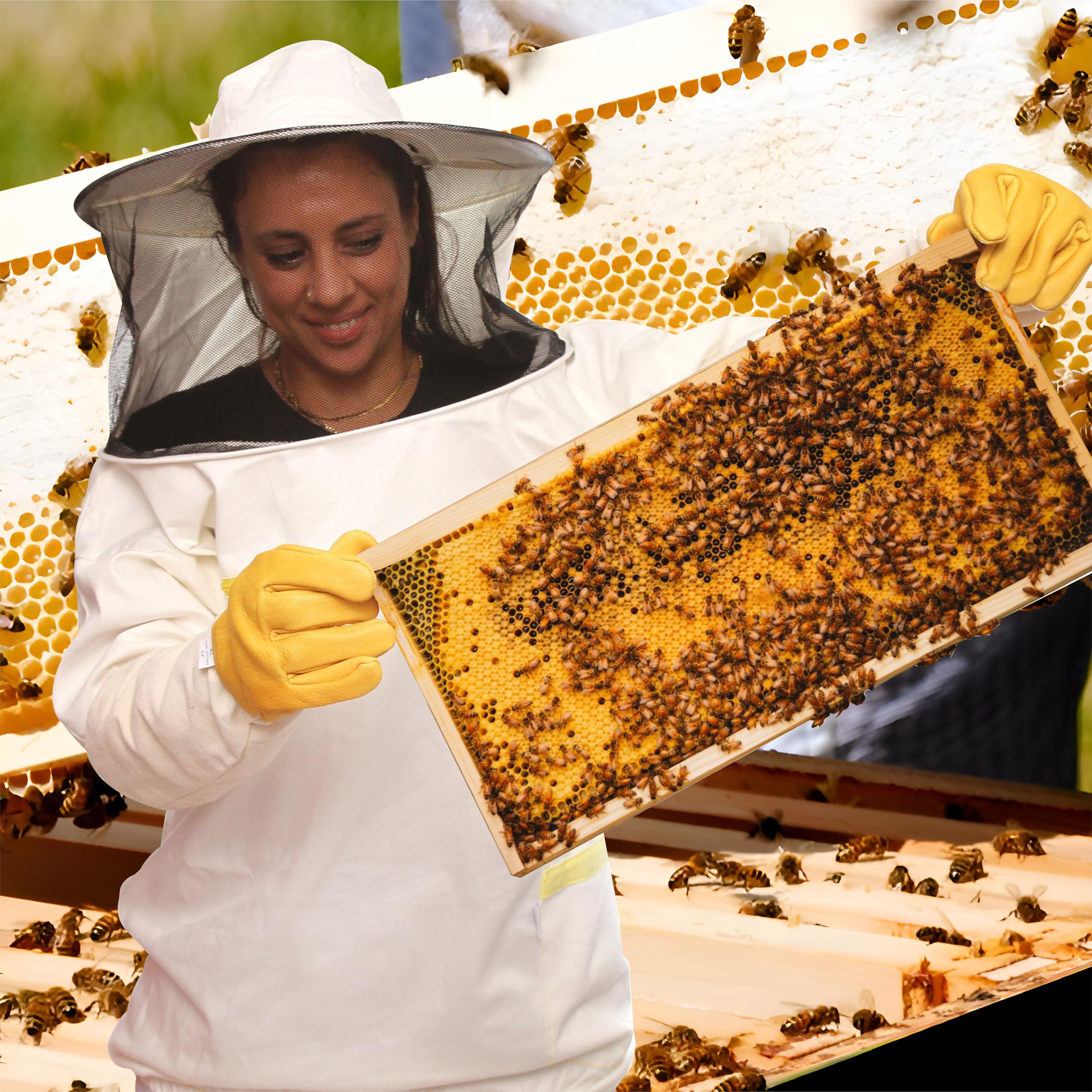 BEEART Professionelle Imkerjacke Imkerbluse aus Baumwolle– Imkerschutzkleidung – EU Qualität –Stichschutzanzug gegen Bienen & Insekten –Bequem & strapazierfähig –Mit Stoffhut & Schleier – Größen M–3XL