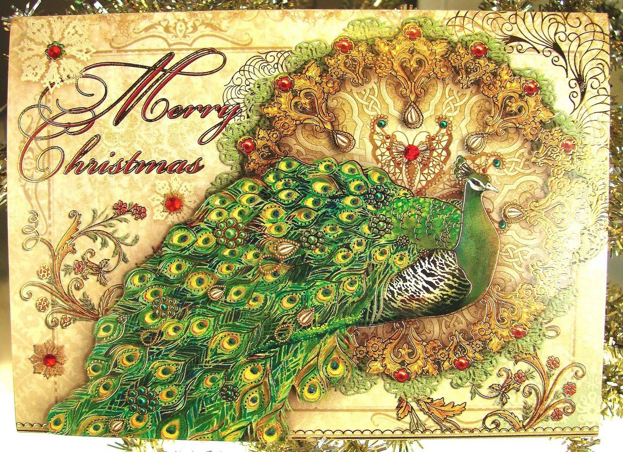 Punch Studio #94998 Christmas Greeting Cards Golden Holiday Peacock Die-cut & Crystals, Boxed Set of 12