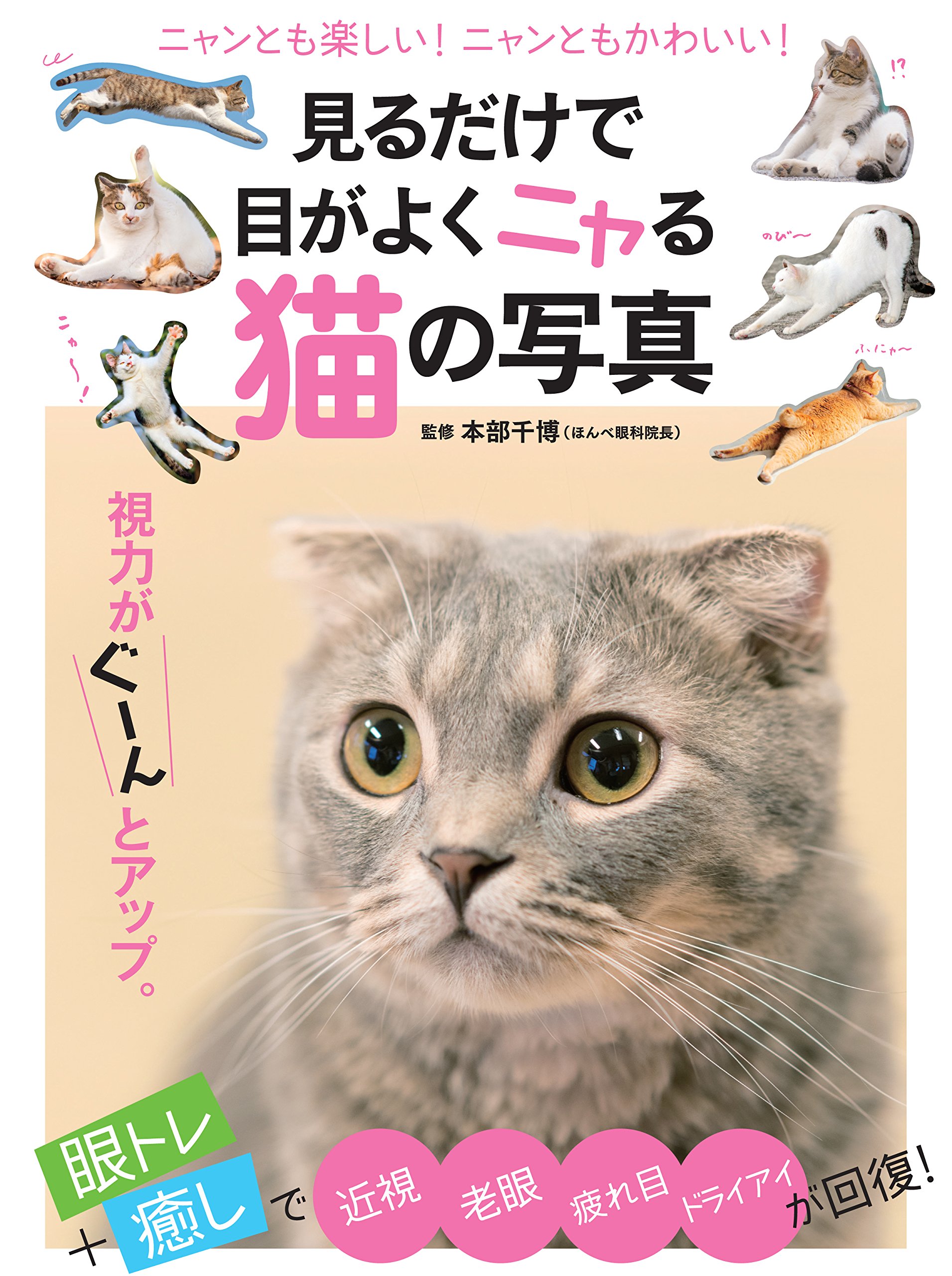 見るだけで目がよくニャる猫の写真 マキノ出版ムック 本部 千博 本 通販 Amazon