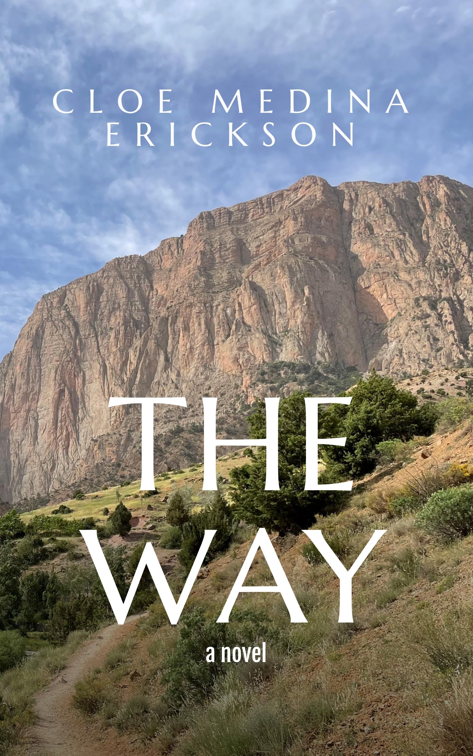 The Way: A novel