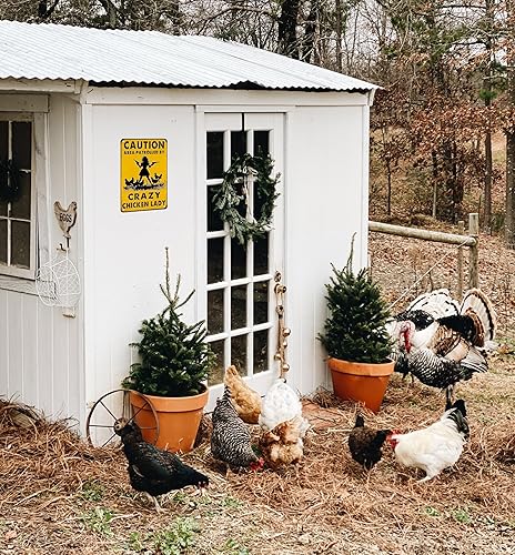 Miniatura 7 de Divertidos regalos de pollo con texto en inglés "Caution Area Patrolled By A Crazy Chicken Lady", letrero de lata para el hogar, granja, gallinero,